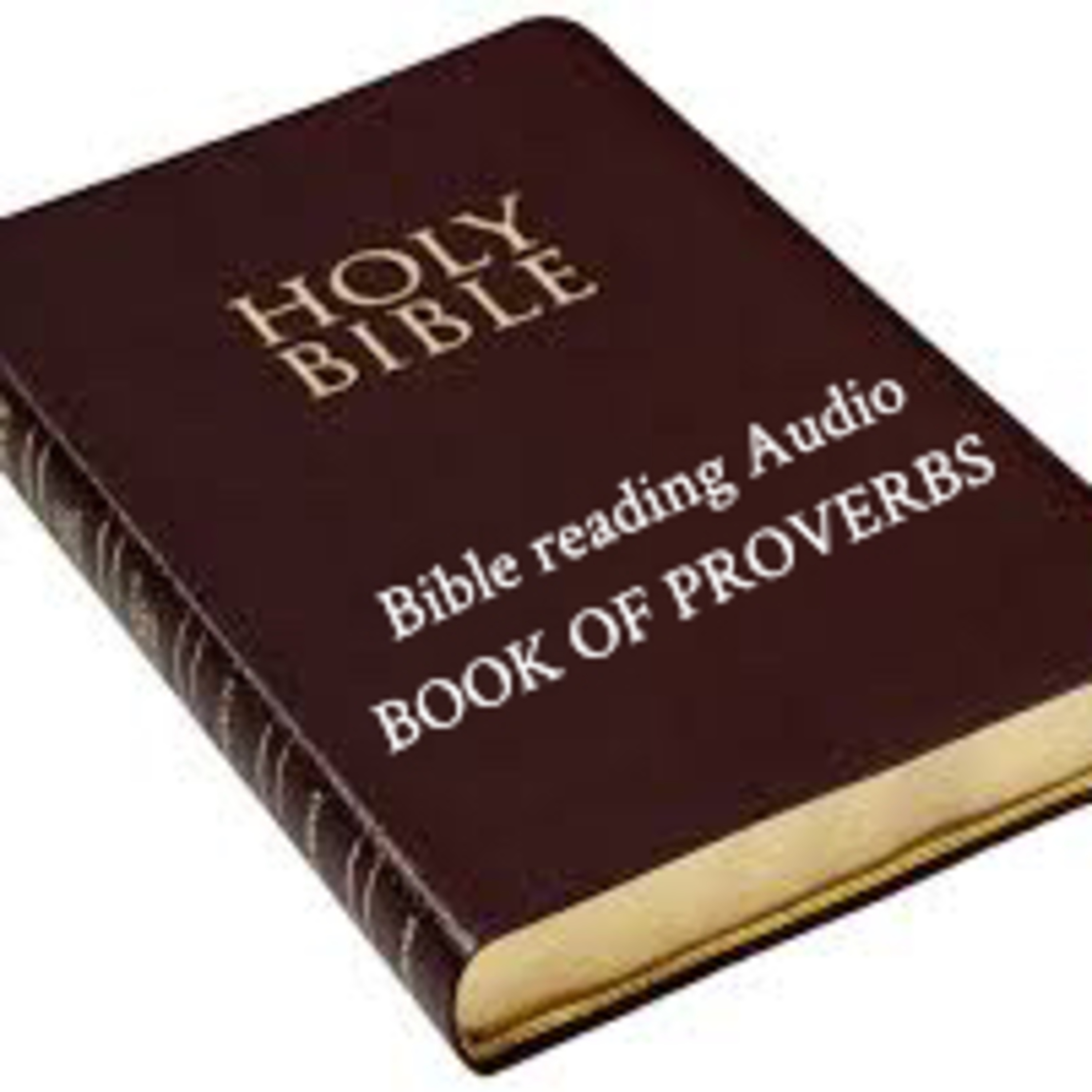 PROVERBS (Tagalog Bible reading) episode artwork
