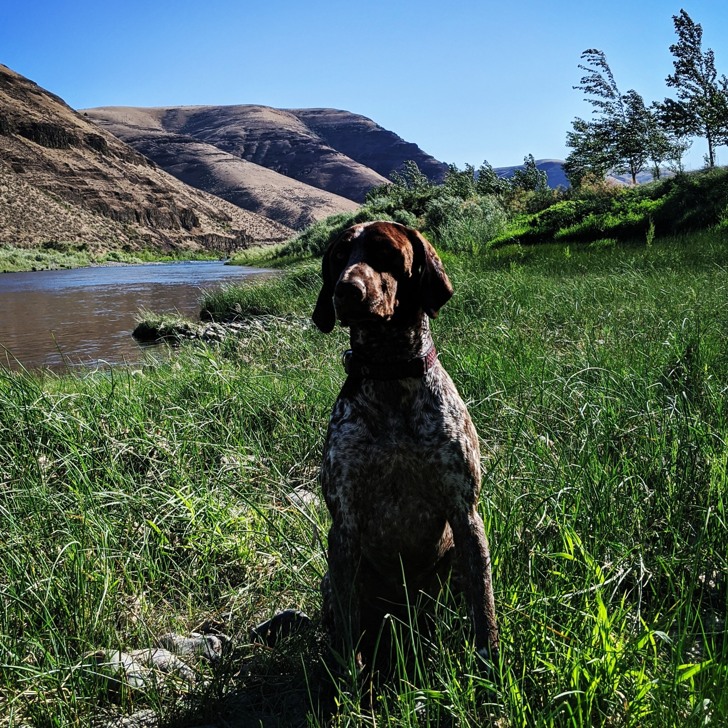 The Evolving Outdoorsman