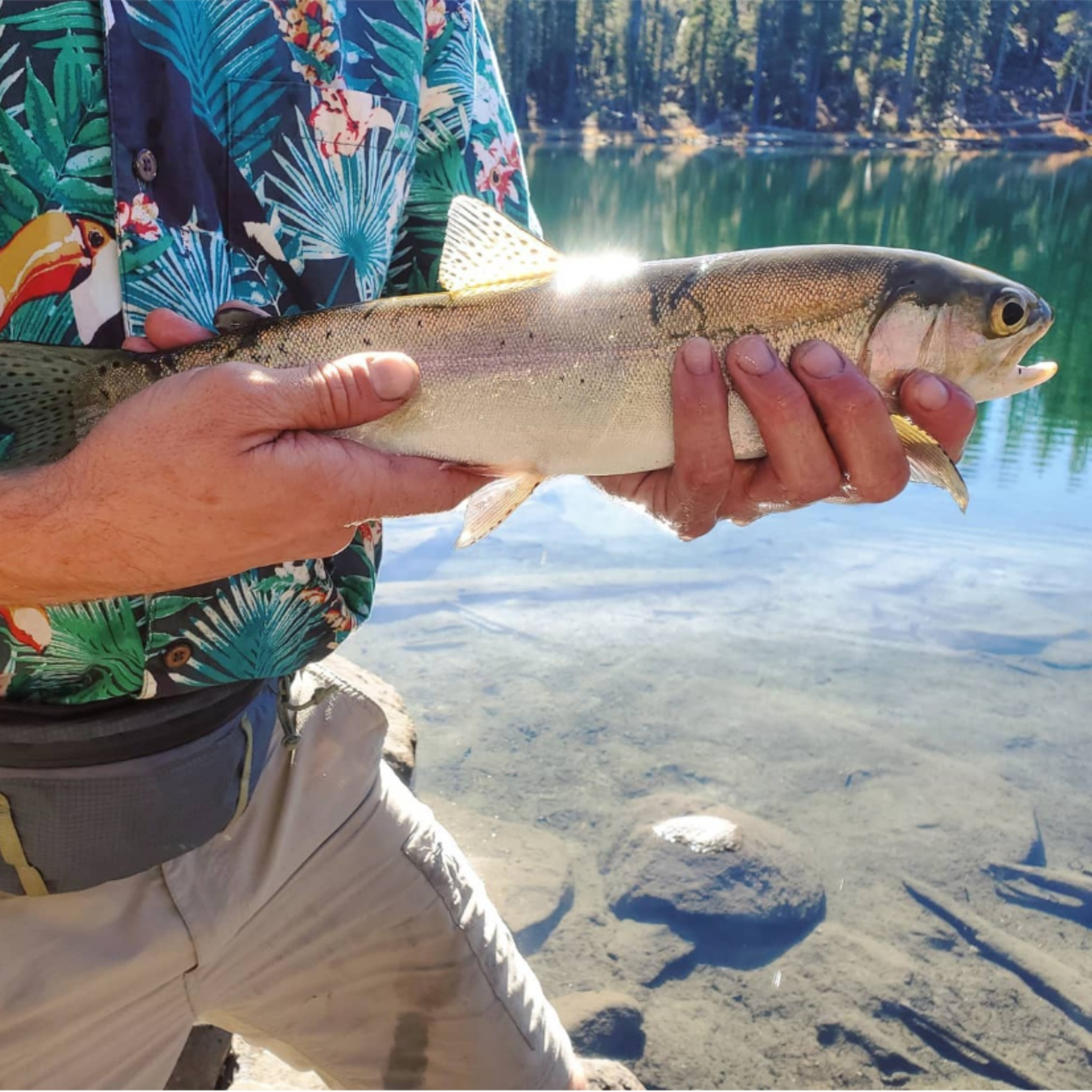 The Evolving Outdoorsman