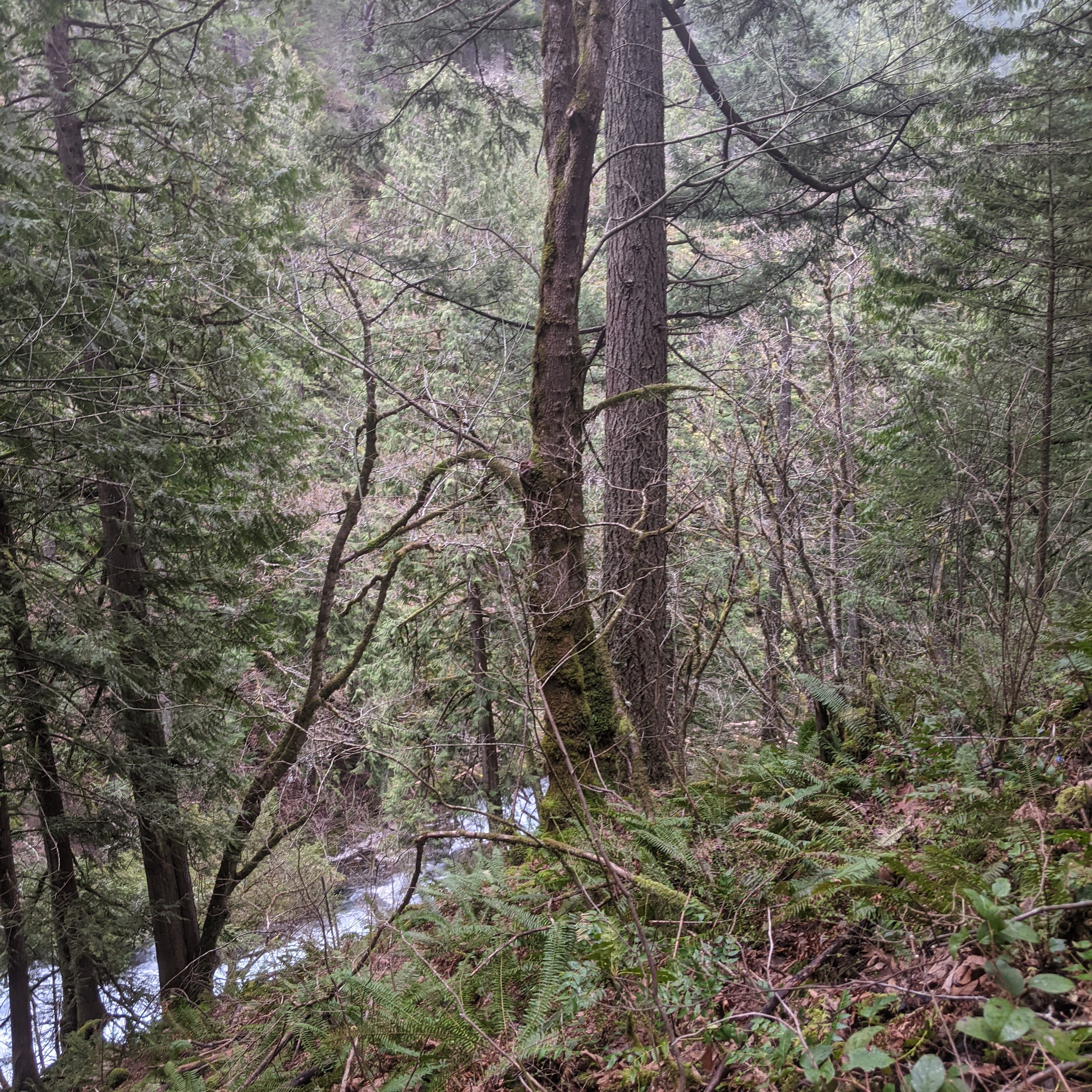 The Evolving Outdoorsman
