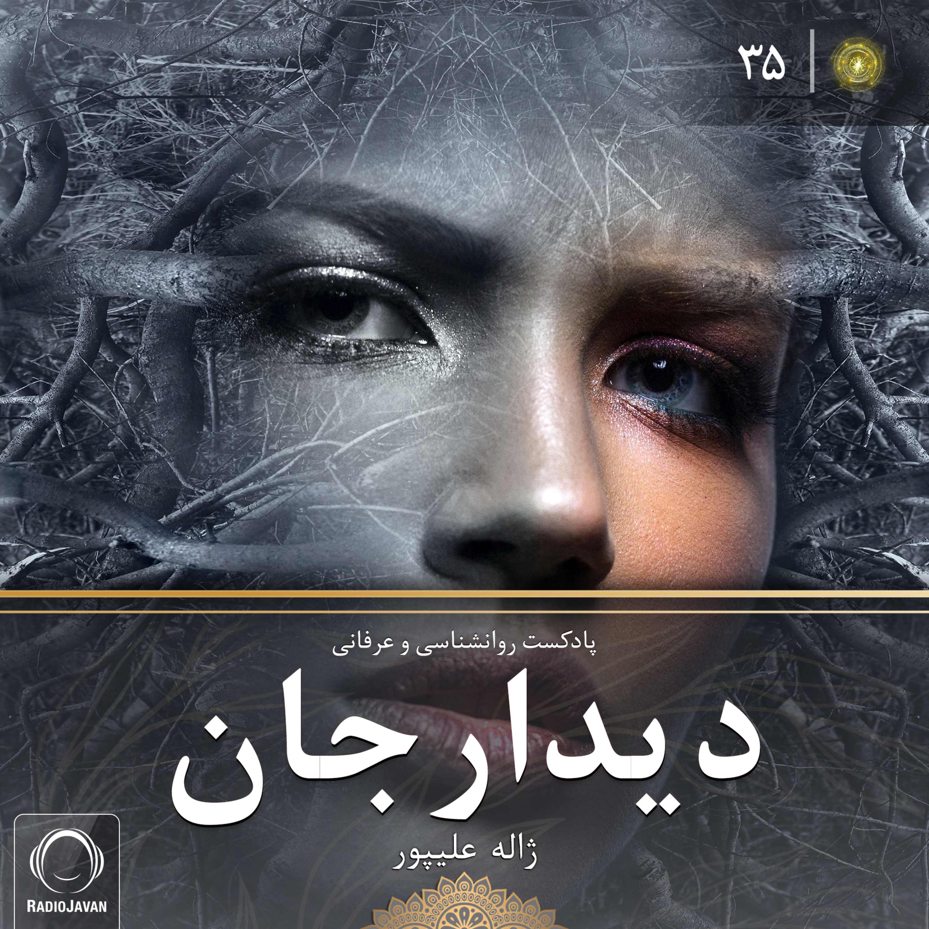 پادکست دیدارجان قسمت 35