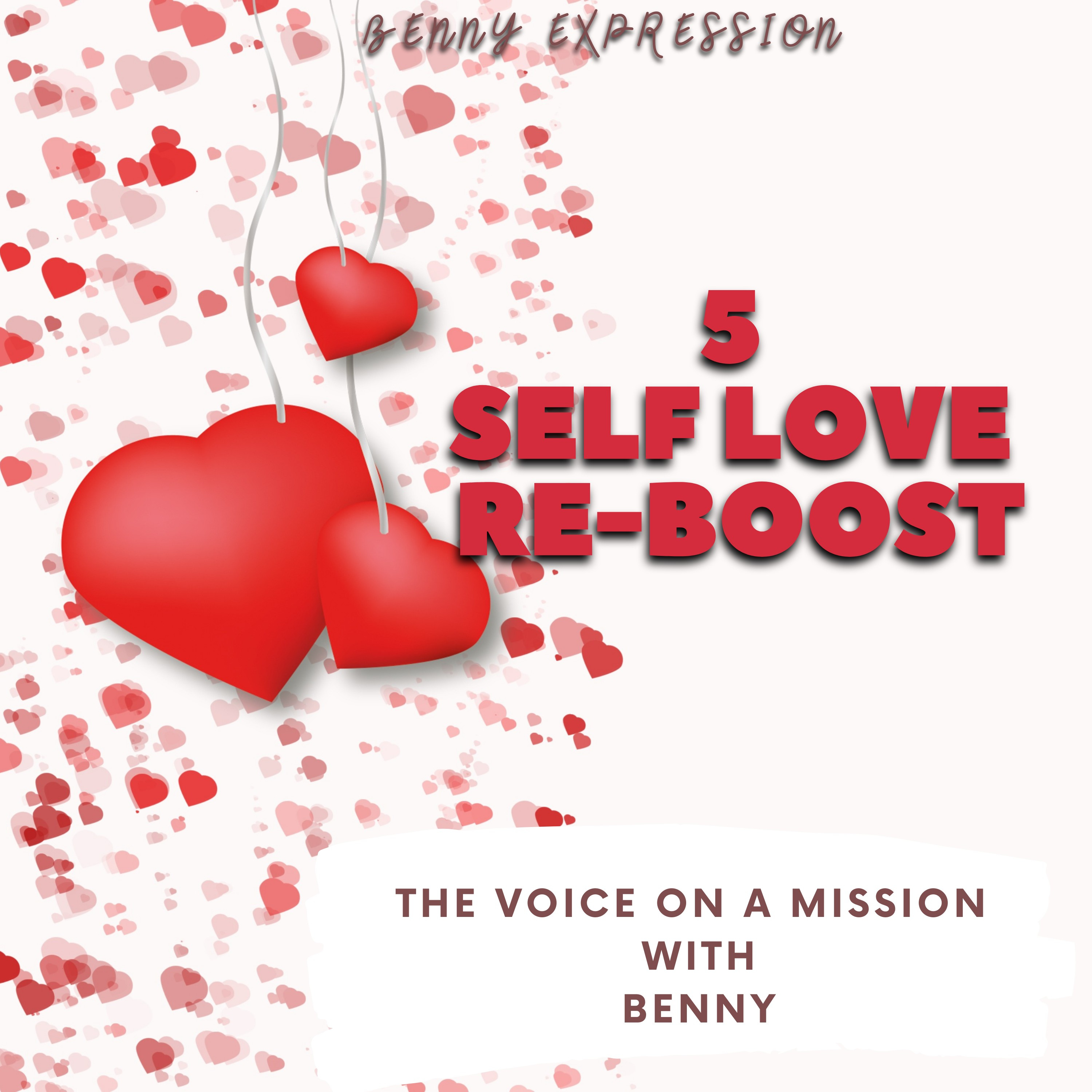VOICE ON A MISSION