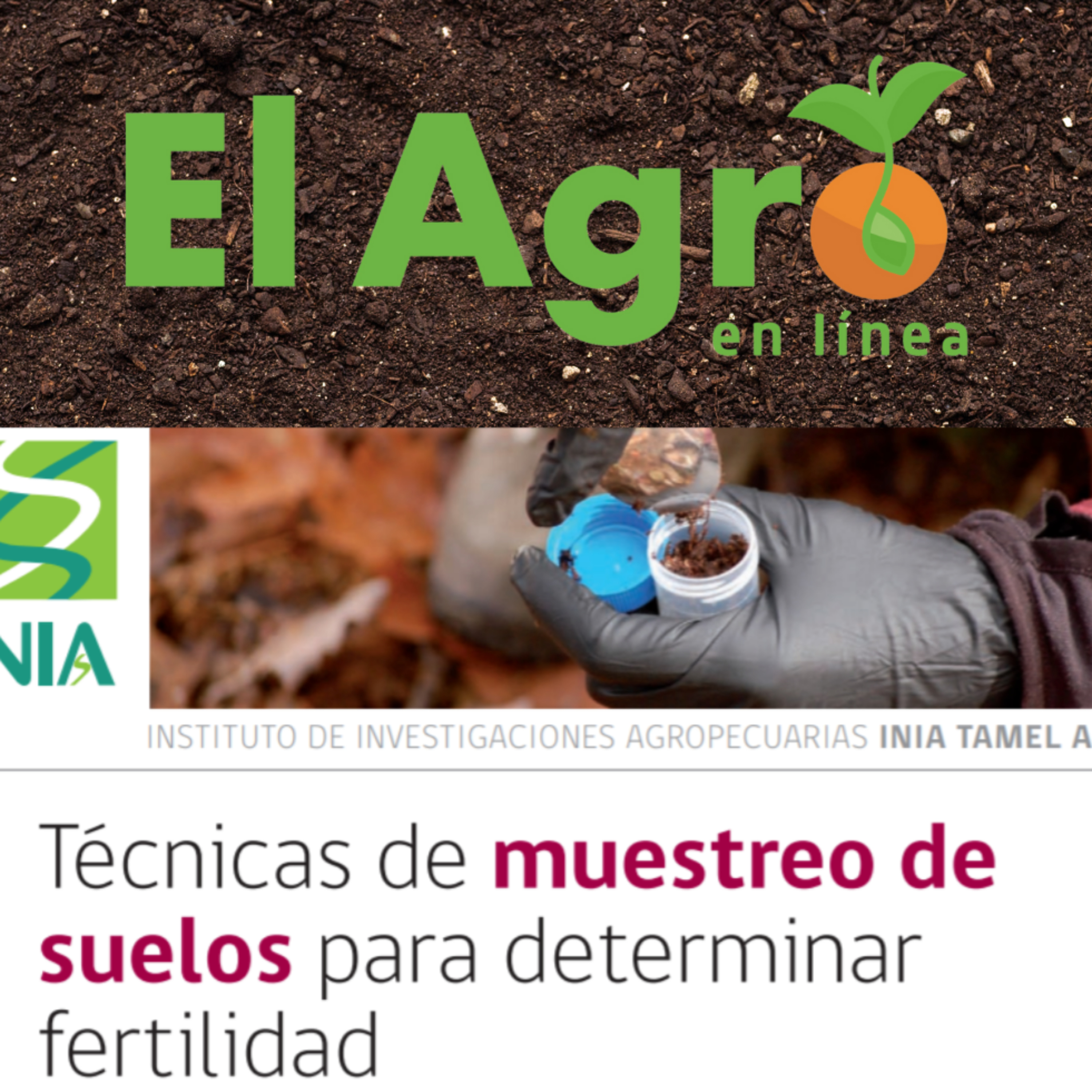 El Agro En Linea