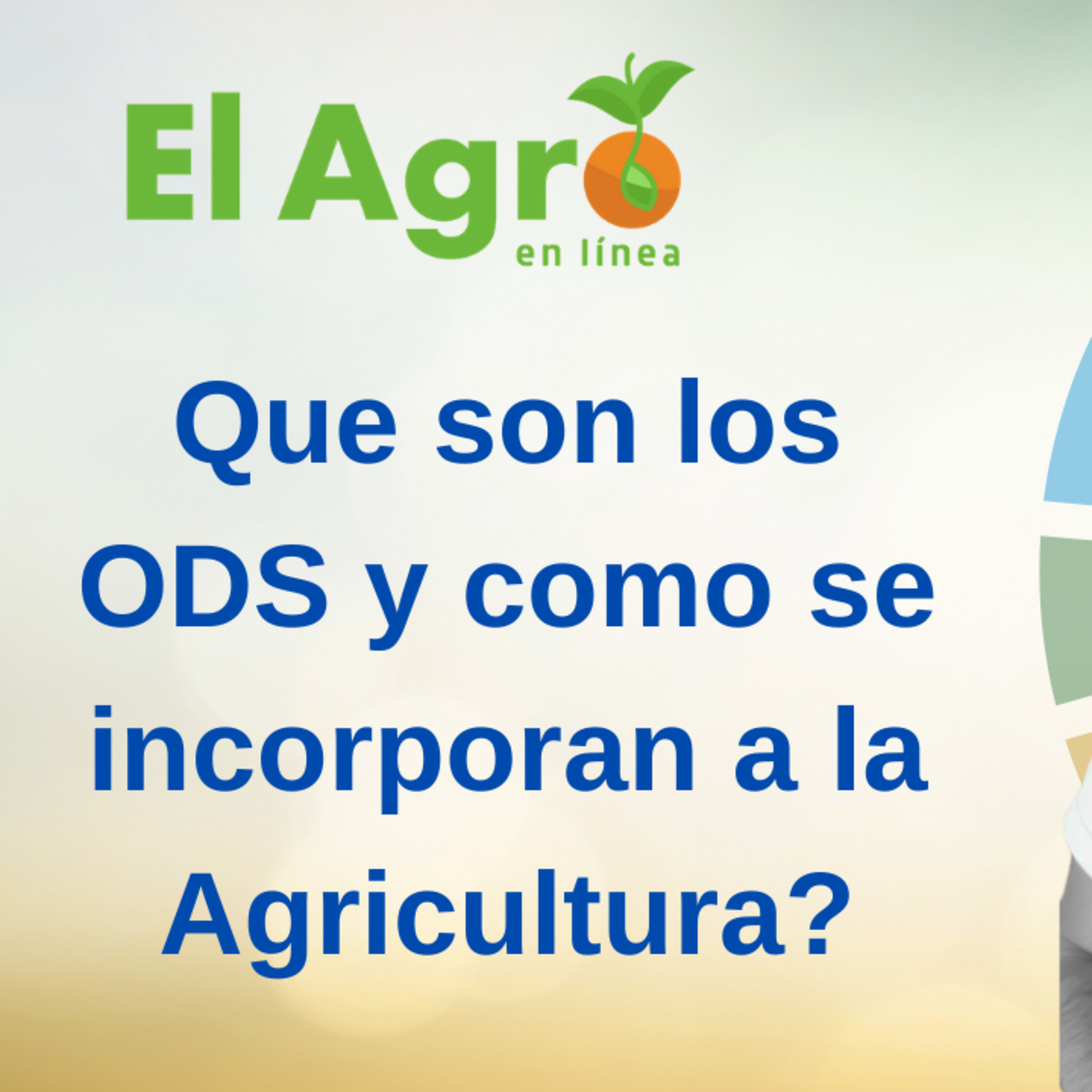 El Agro En Linea