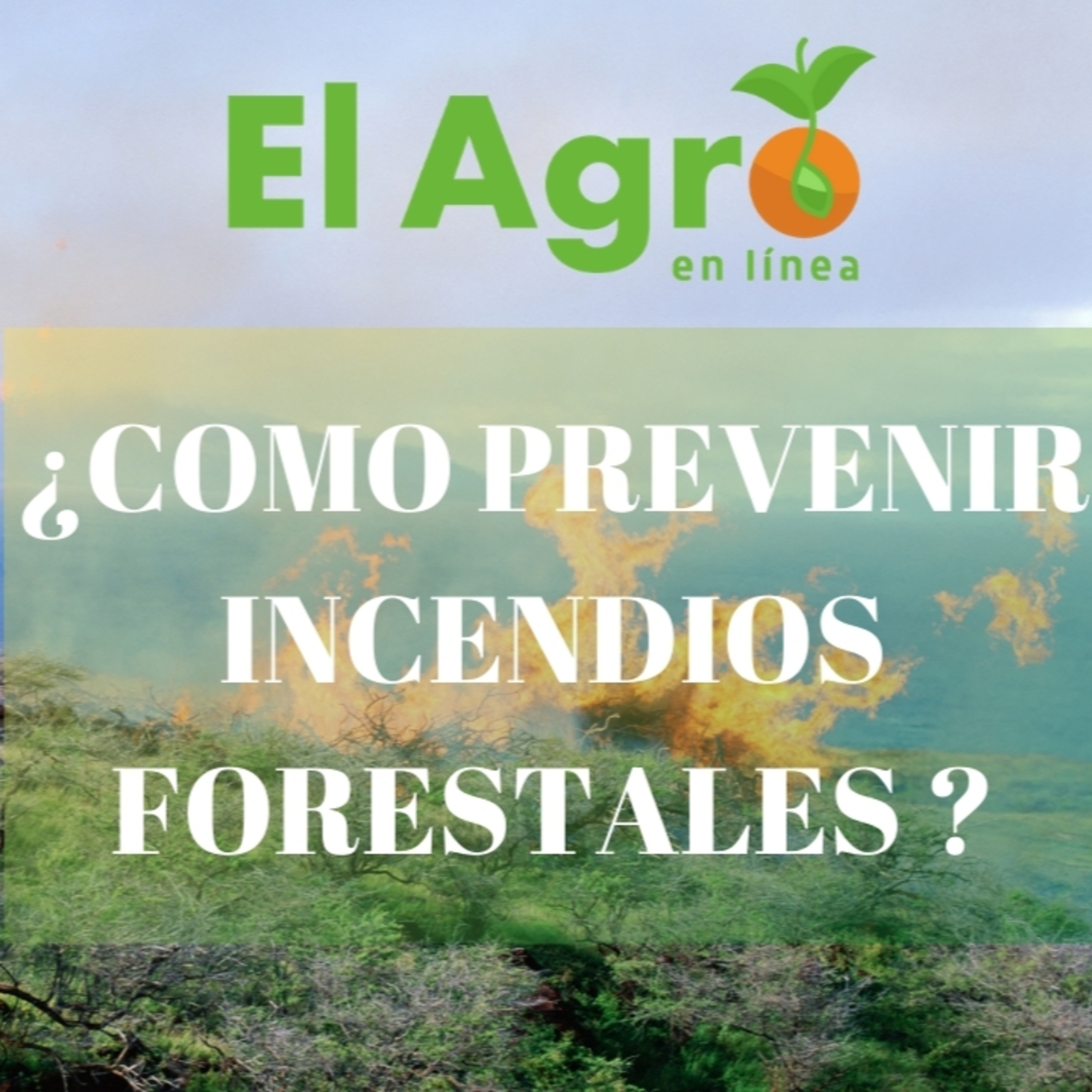 El Agro En Linea