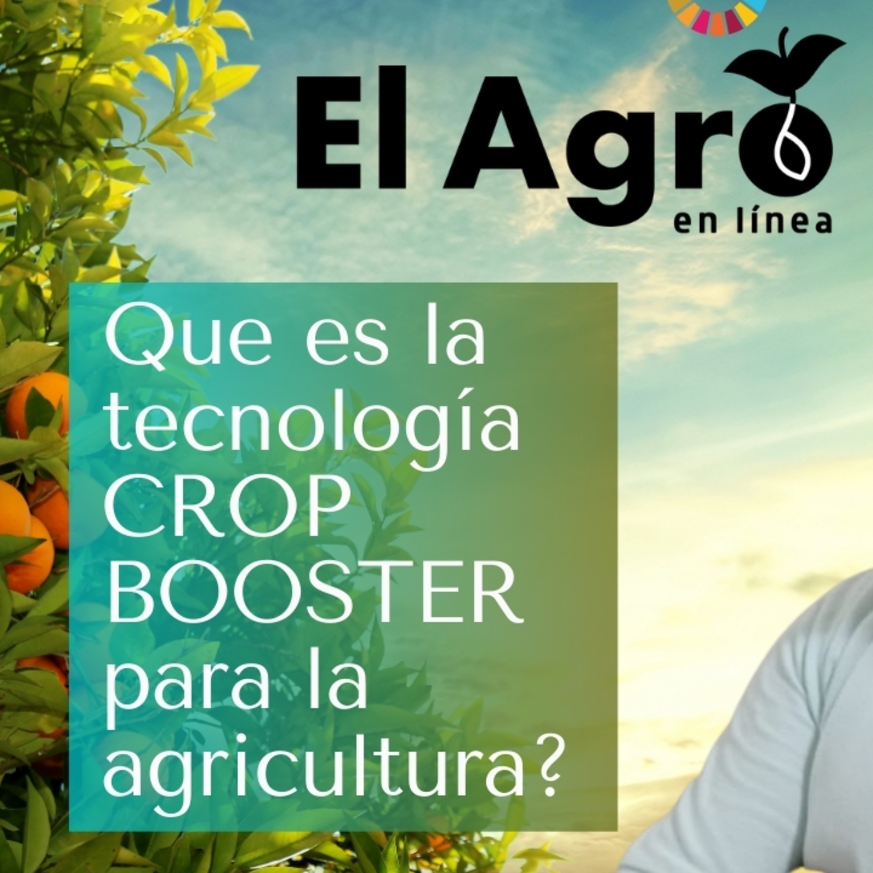 El Agro En Linea