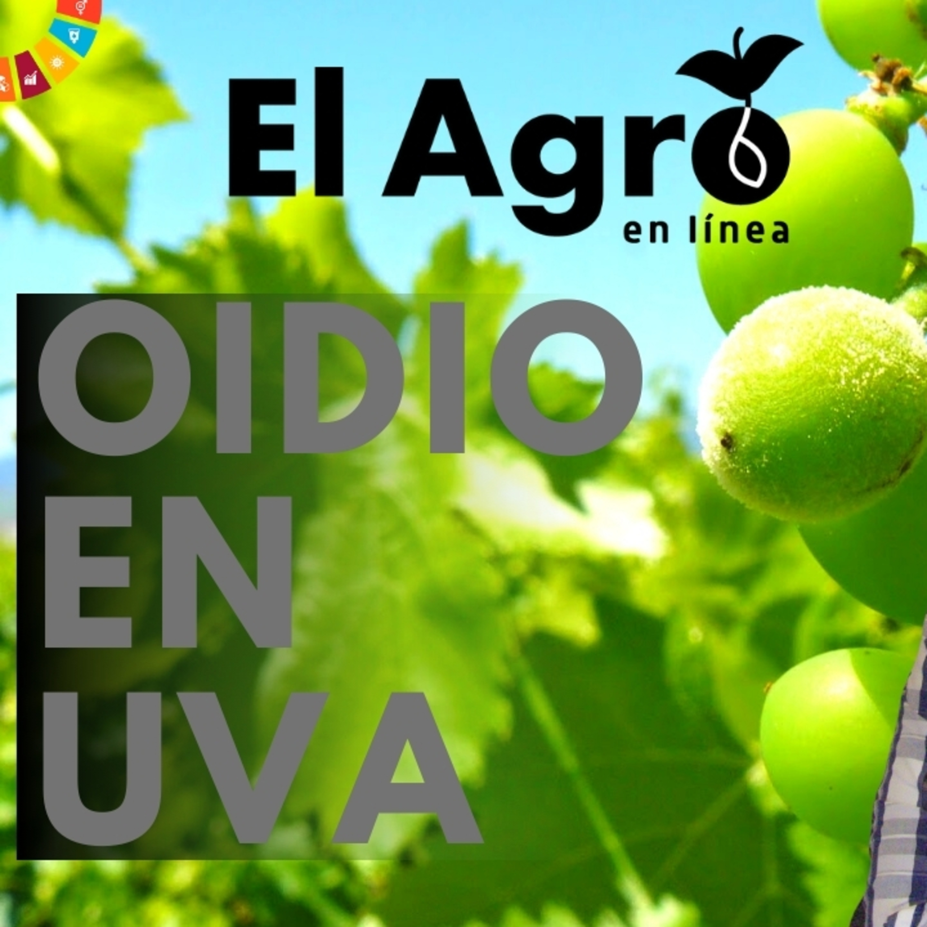 El Agro En Linea