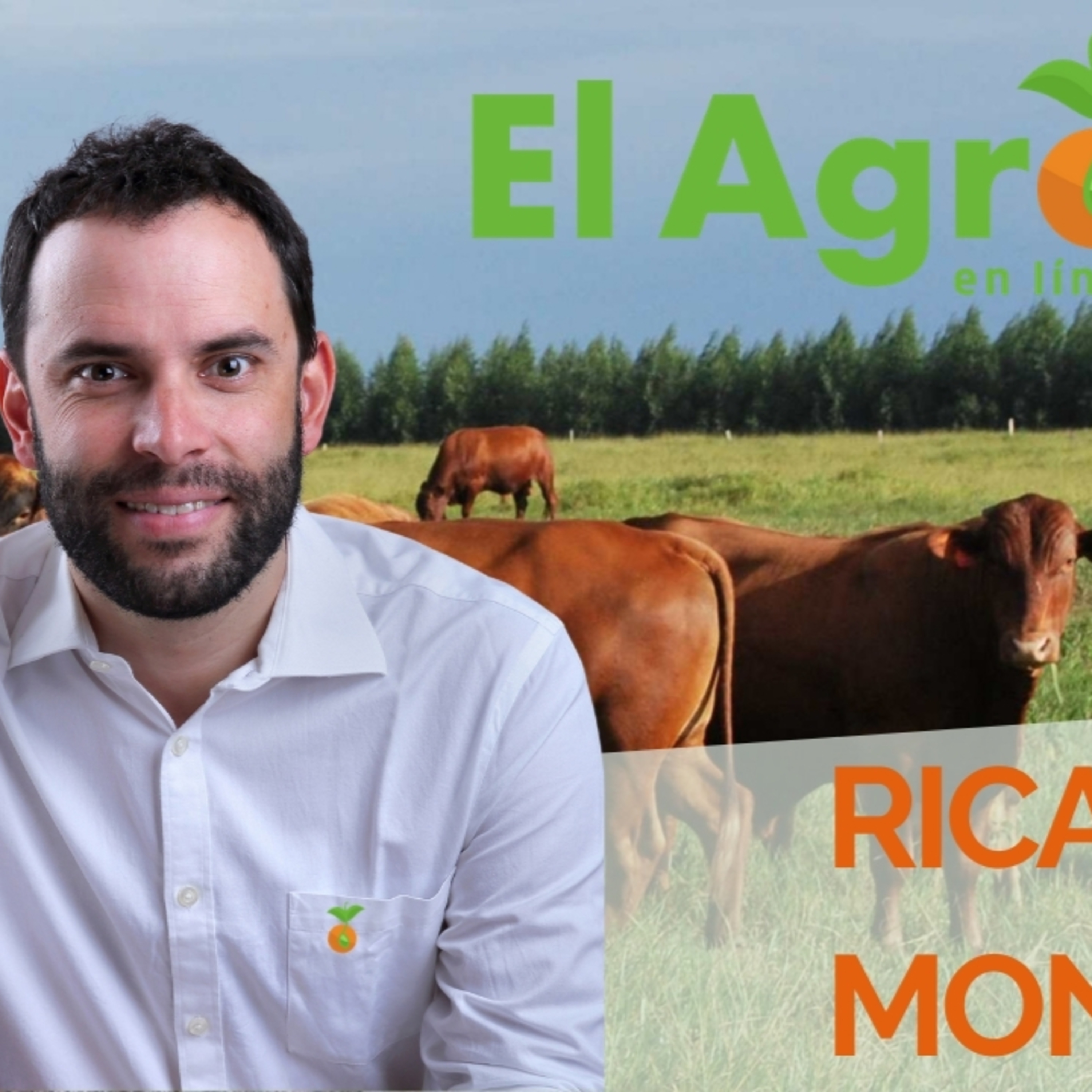 El Agro En Linea
