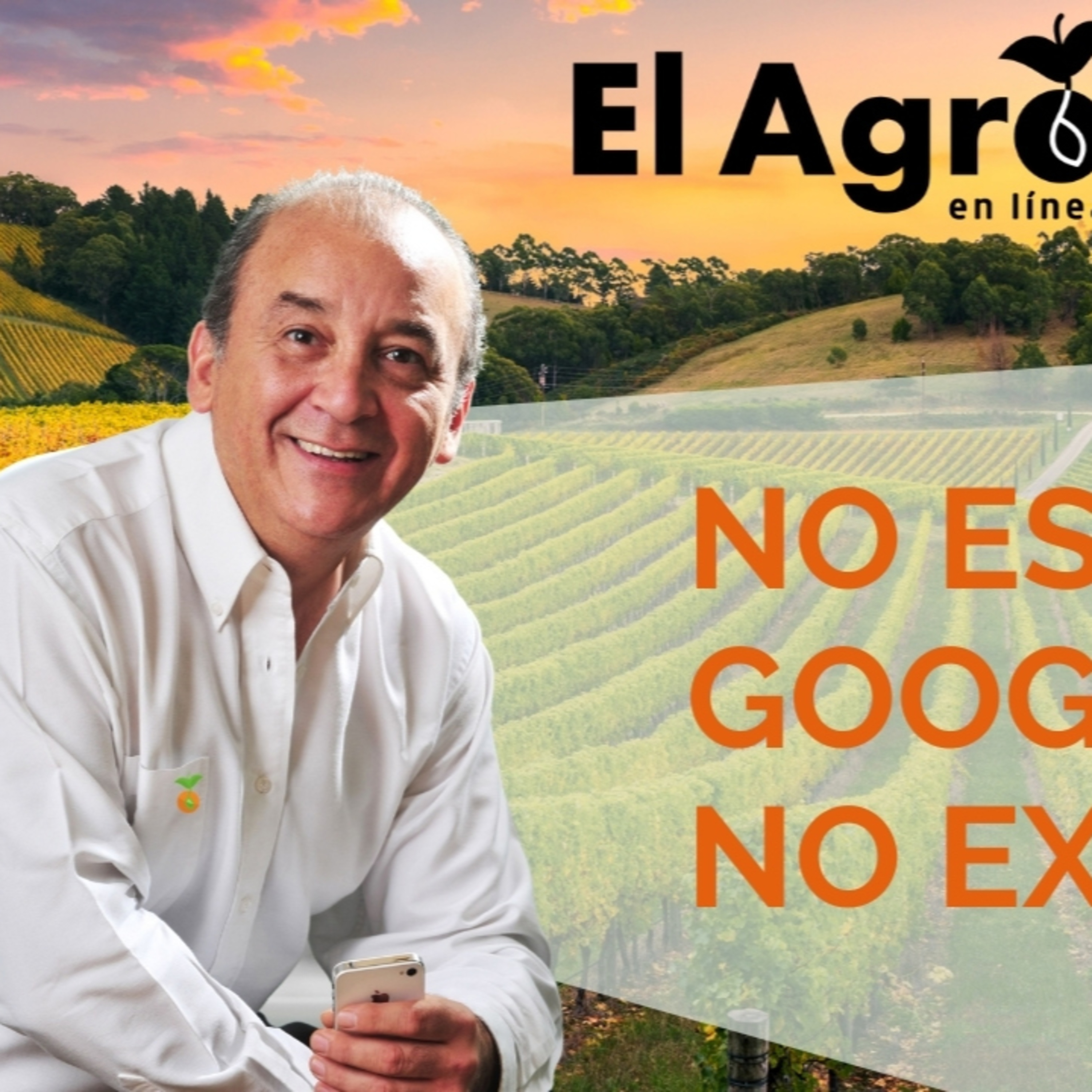 El Agro En Linea