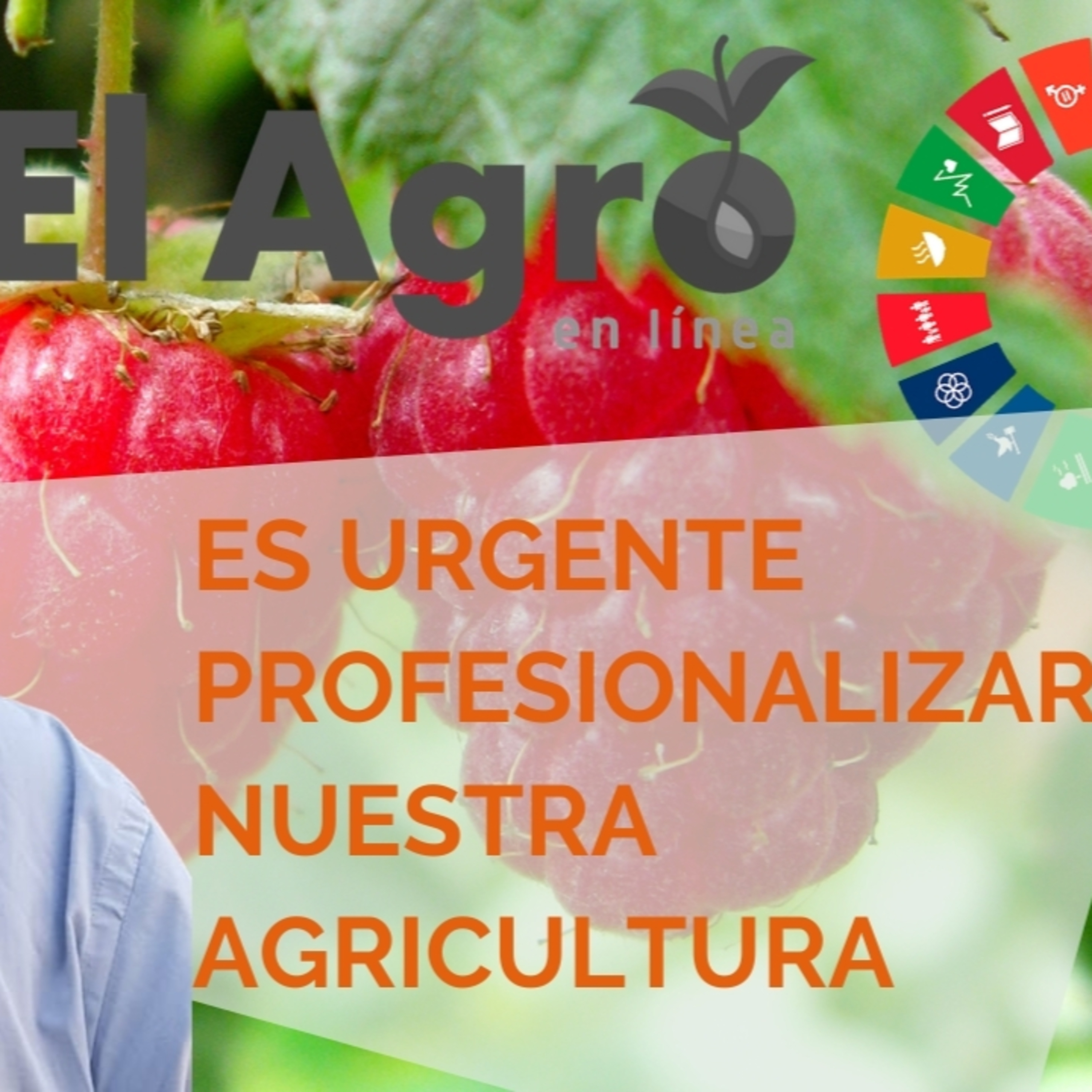 El Agro En Linea