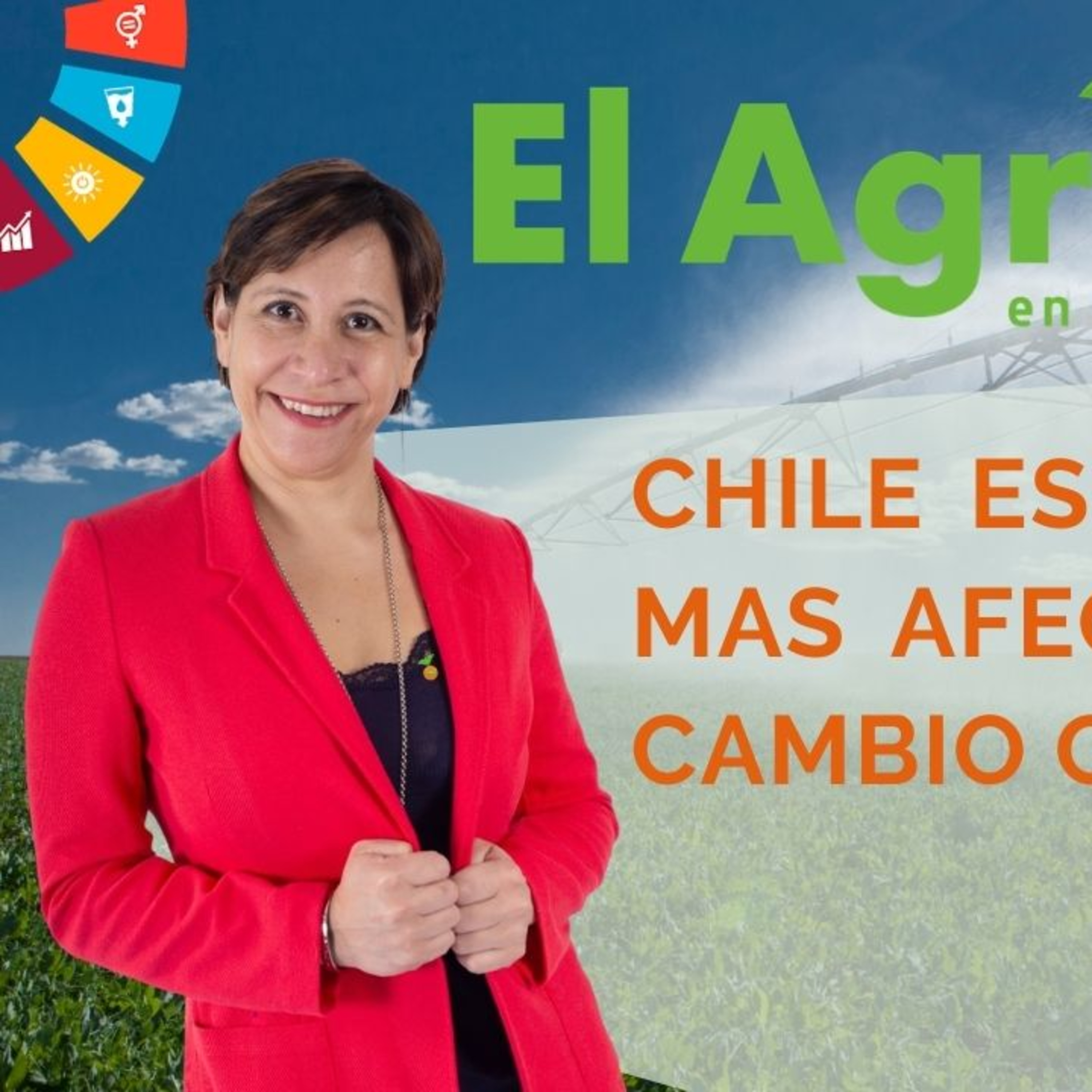 El Agro En Linea