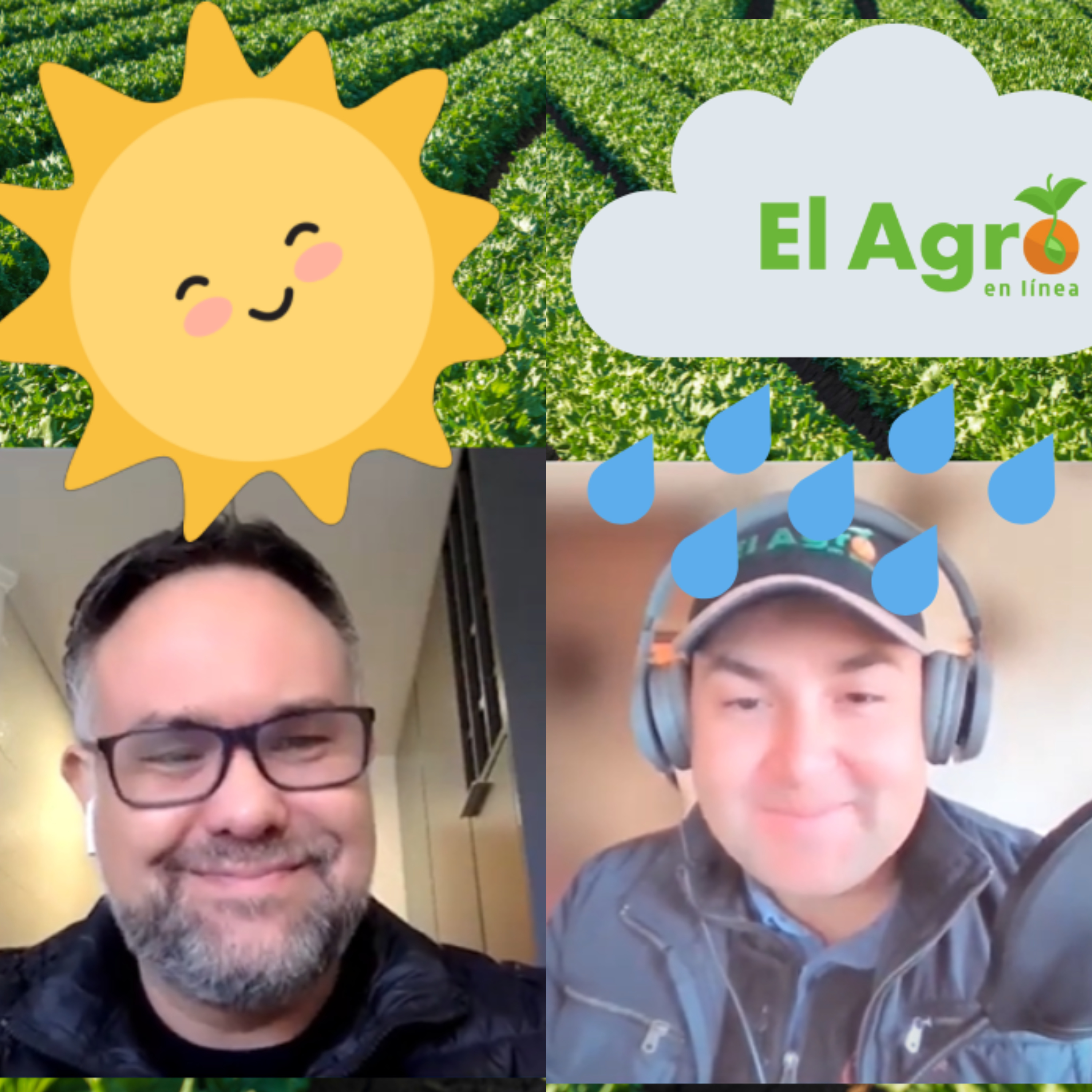 El Agro En Linea