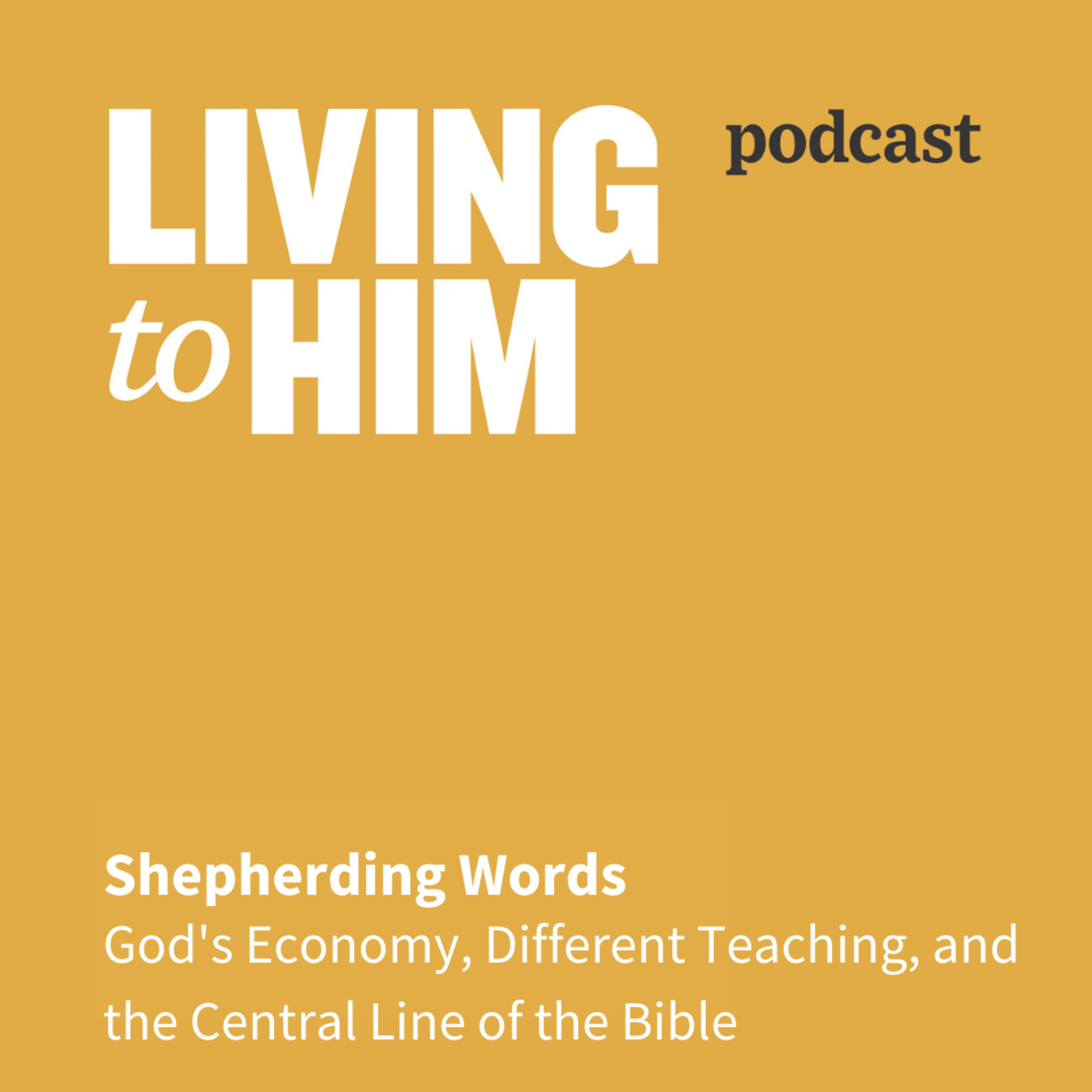 Shepherding Words (8) | God’s Economy, Different Teaching, and the Central Line of the Bible episode artwork