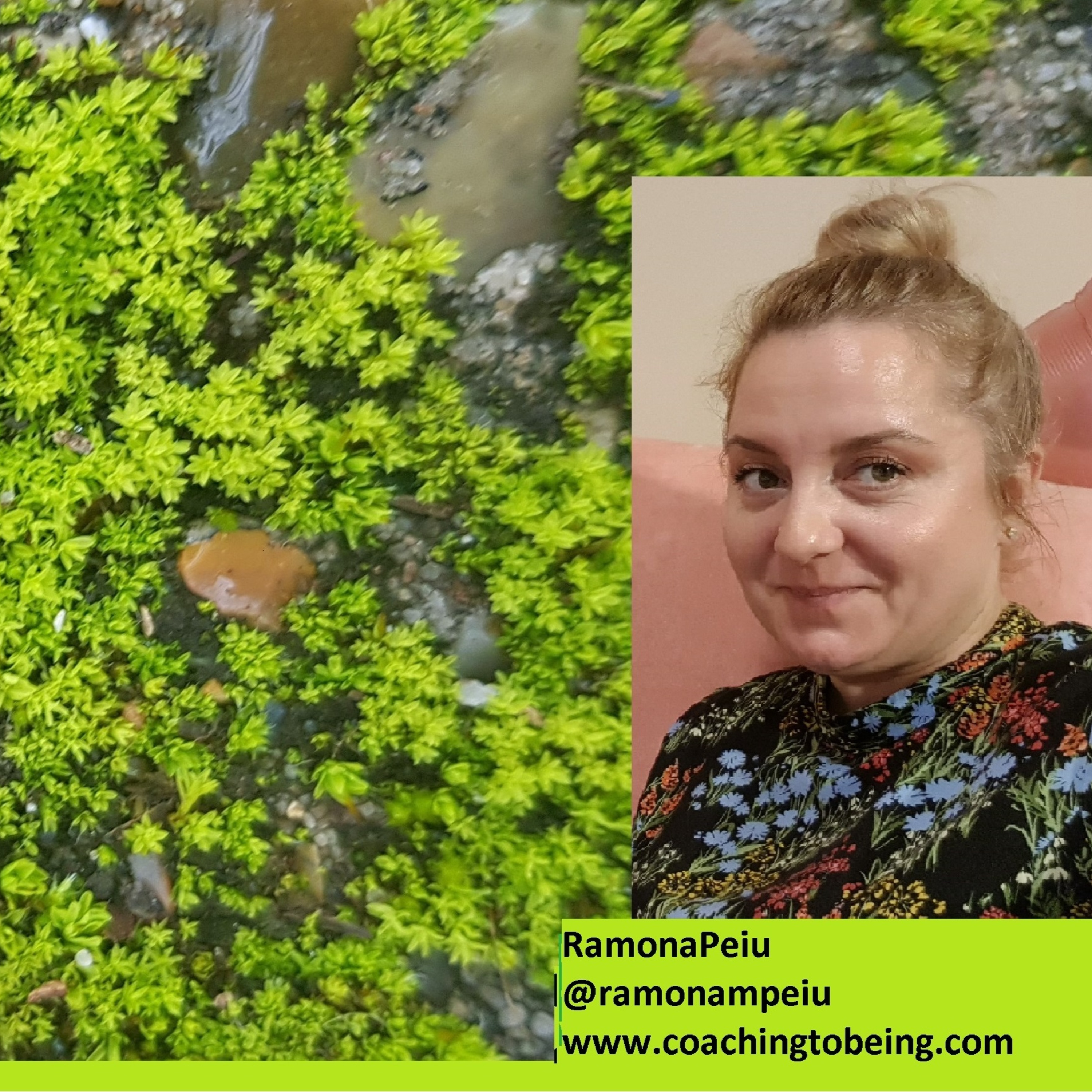 Fear: Embrace or Overcome it, and what waits for us on the other side