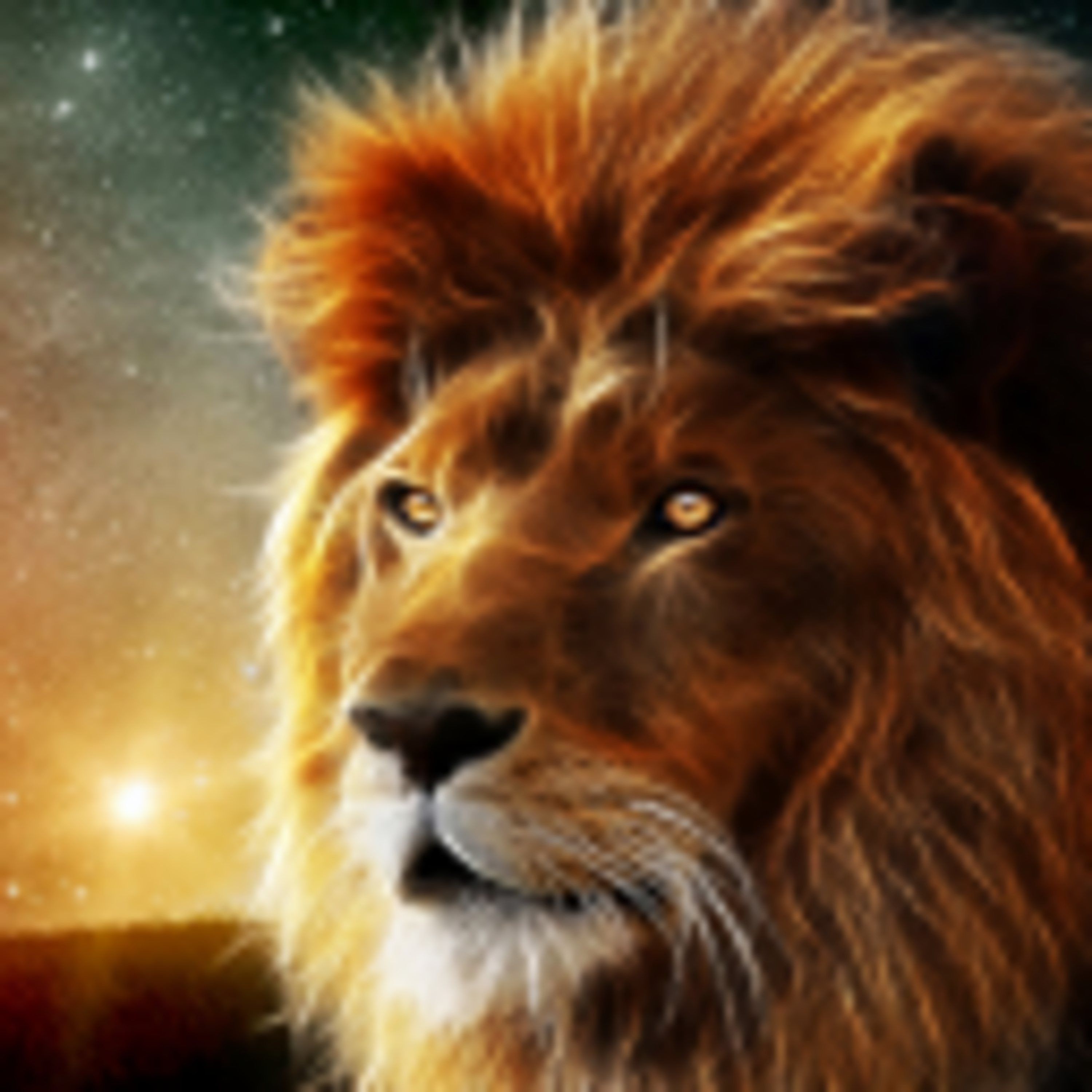MEDITANDO EN LA PALABRA DE YHWH