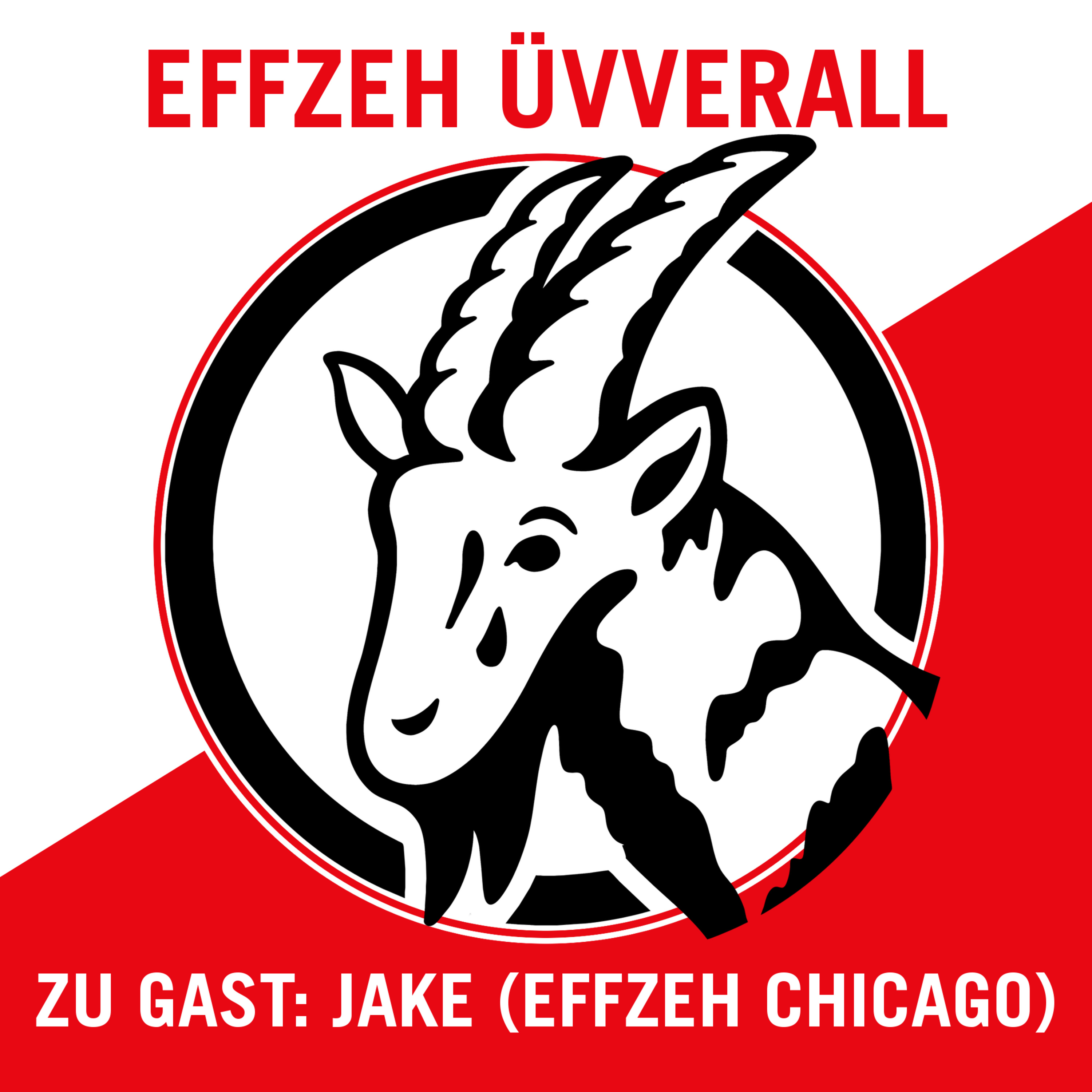 Effzeh Üvverall