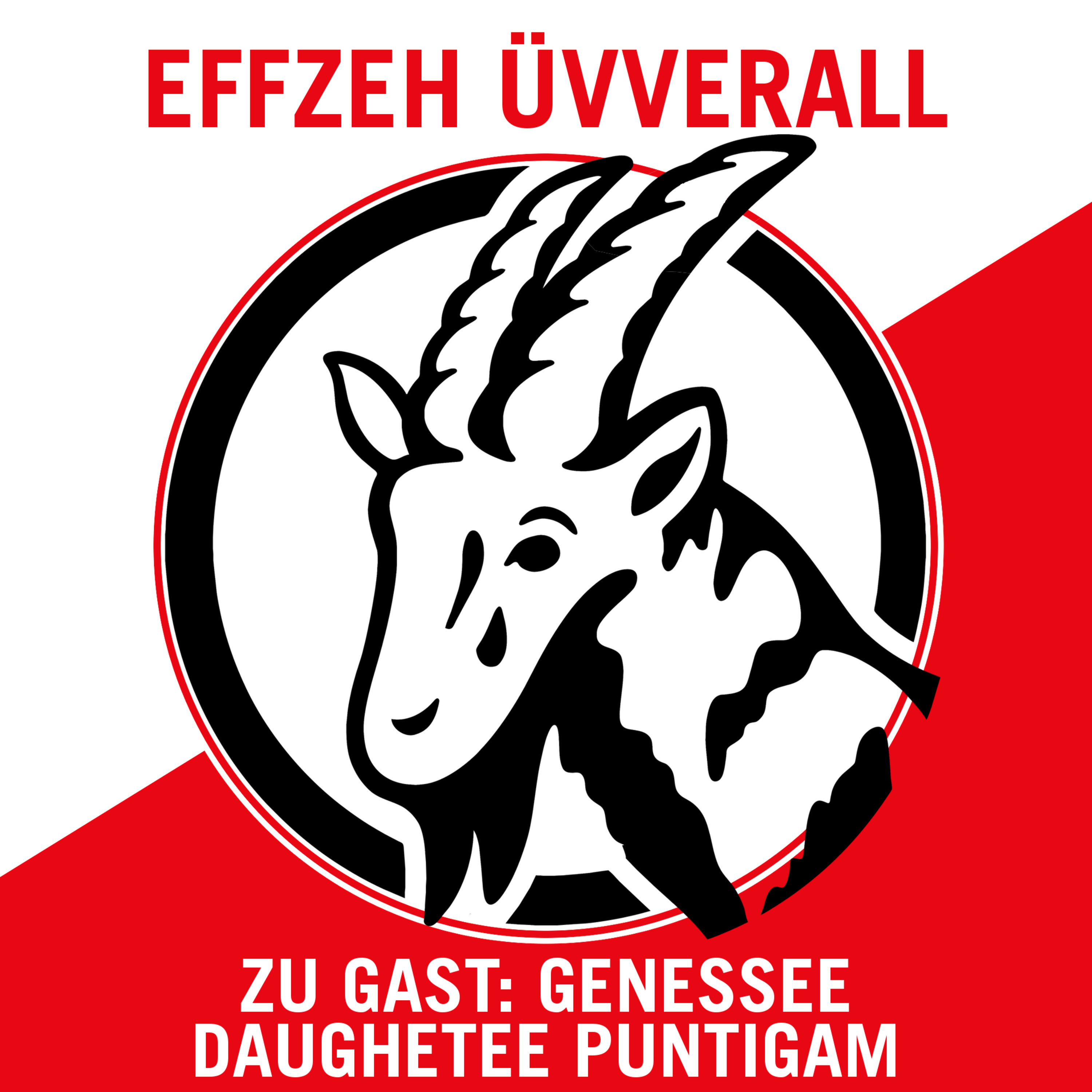 Effzeh Üvverall