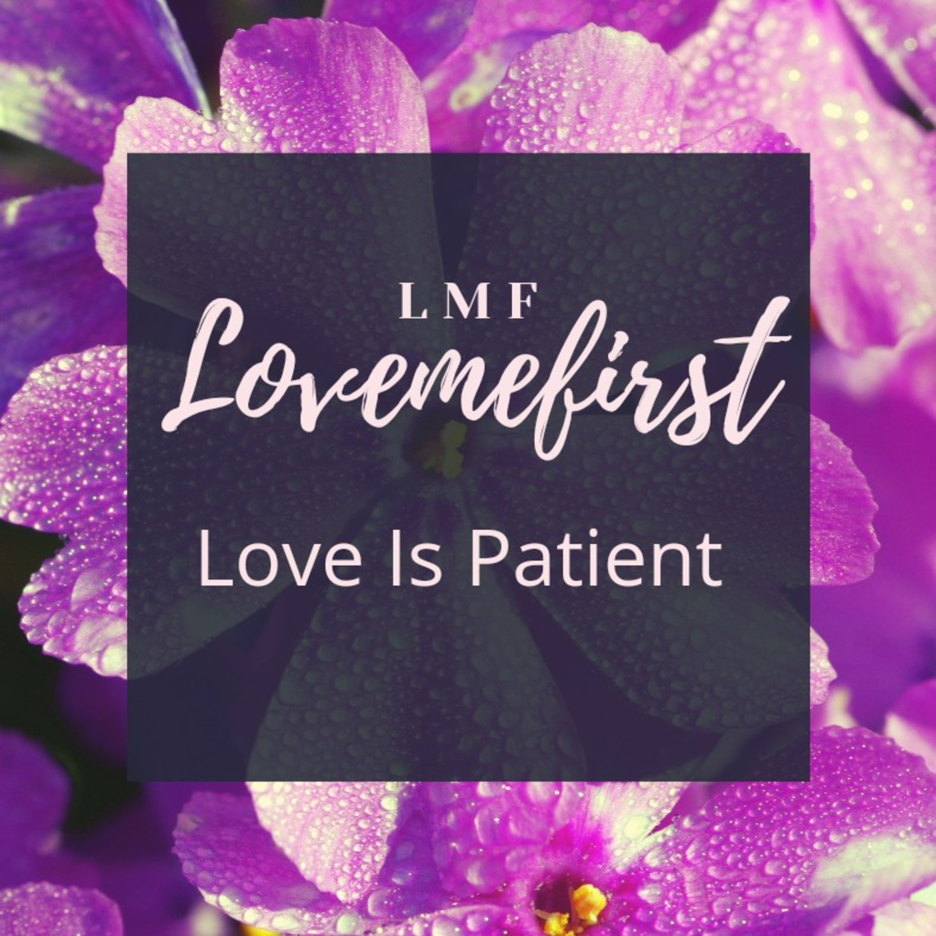 LMF LoveMeFirst