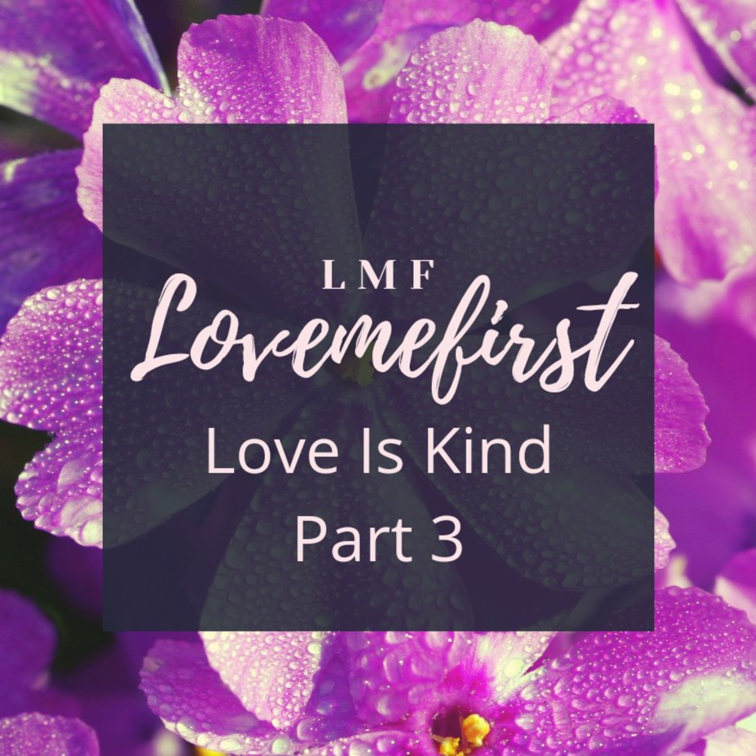 LMF LoveMeFirst
