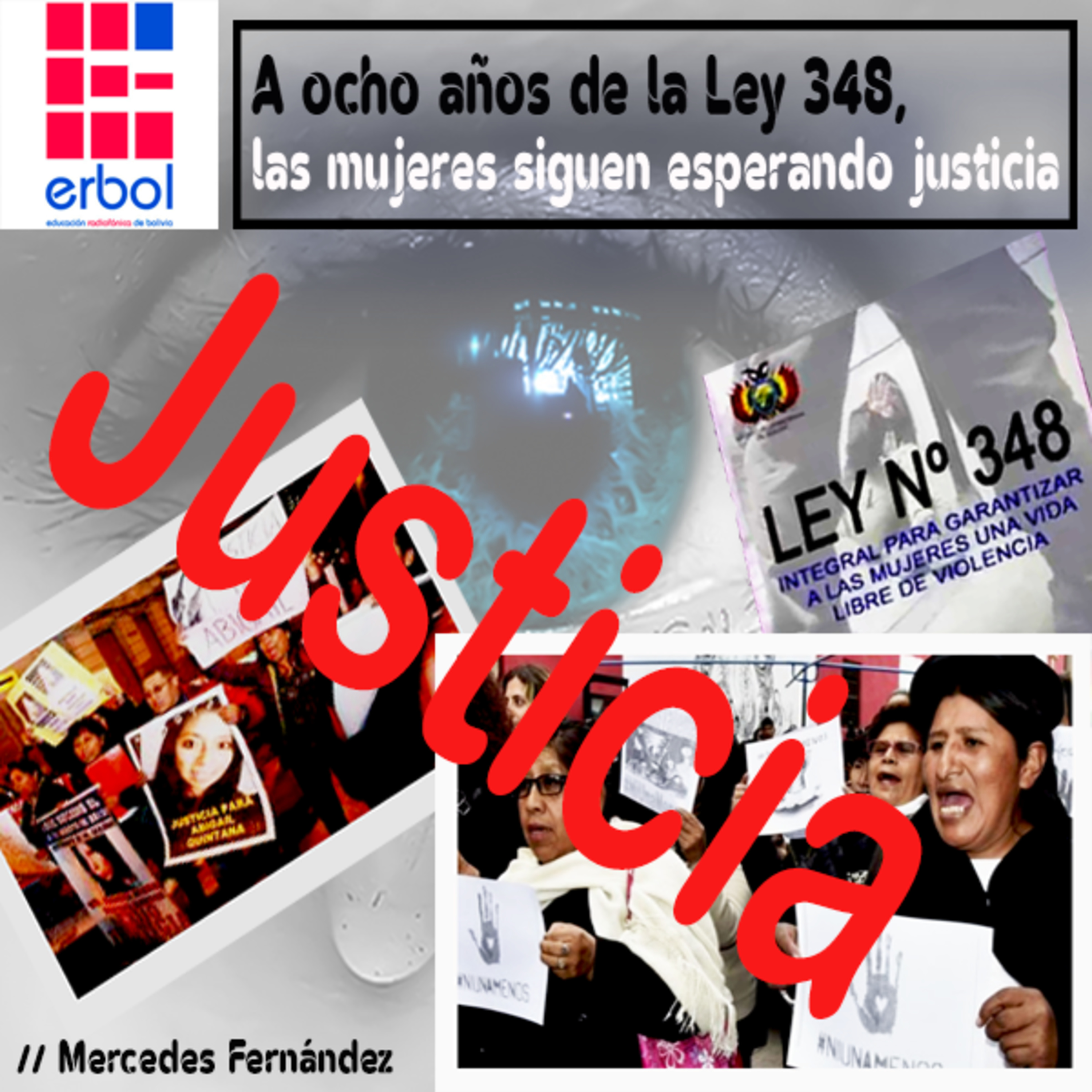 A ocho años de la Ley 348, las mujeres siguen esperando justicia  episode artwork