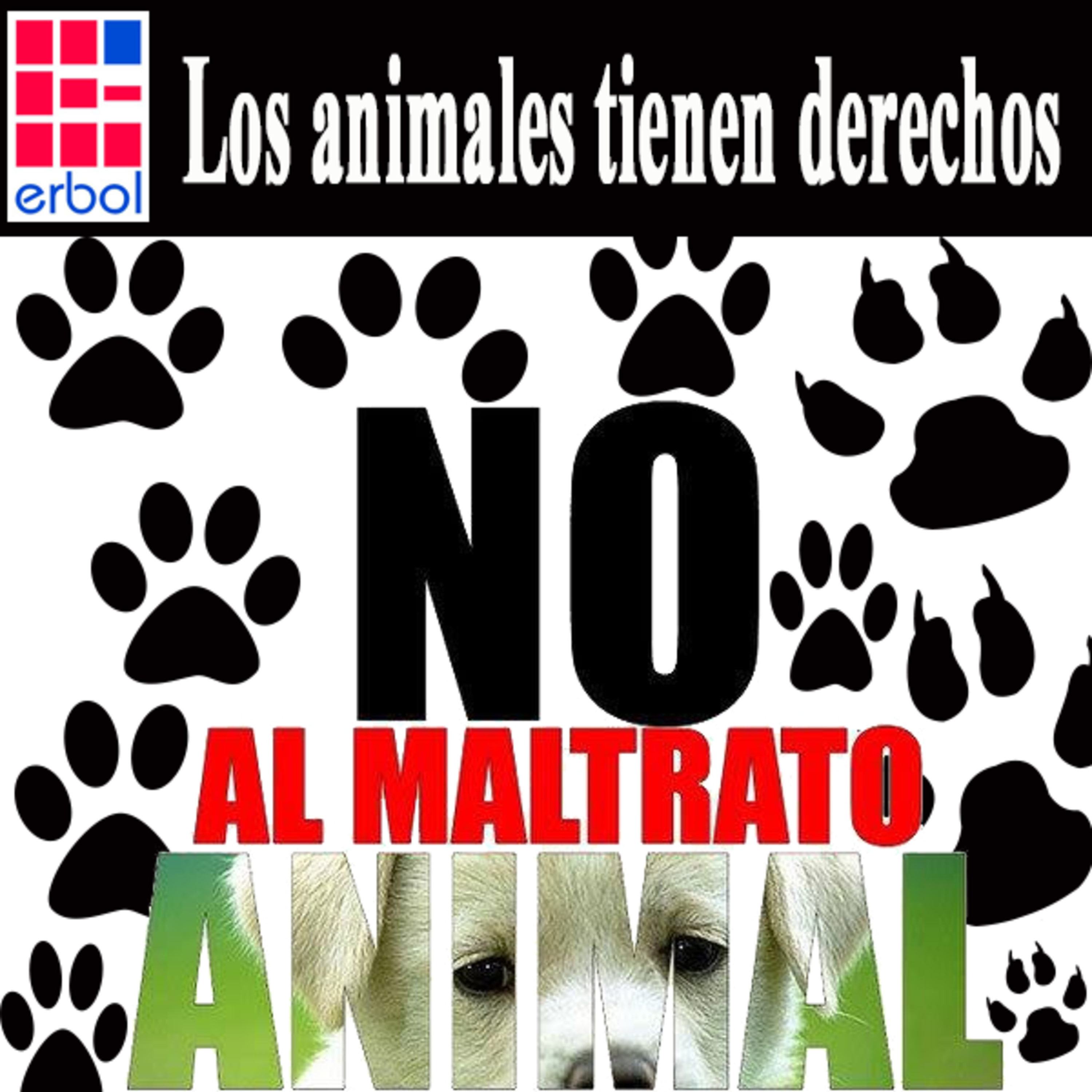 Los animales tienen derechos episode artwork