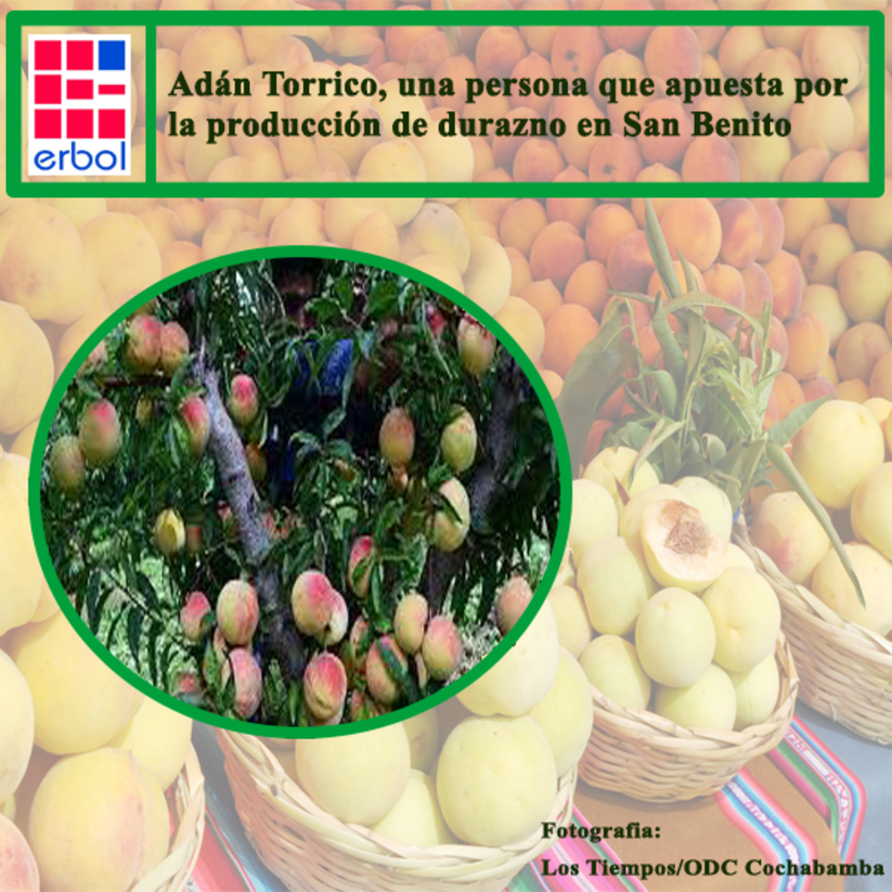 Adán Torrico, una persona que apuesta por la producción de durazno en San Benito episode artwork