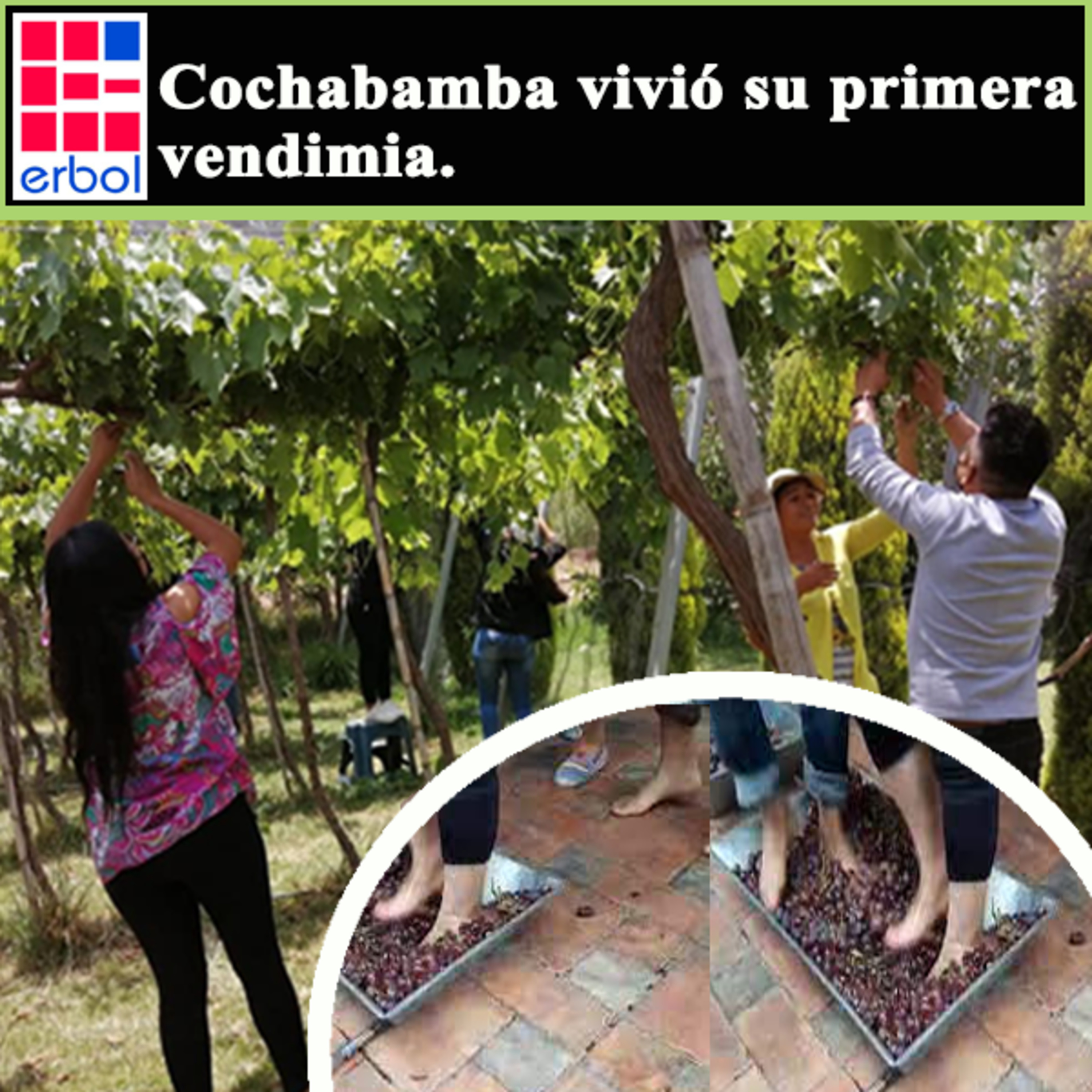  Cochabamba vivió su primera vendimia episode artwork