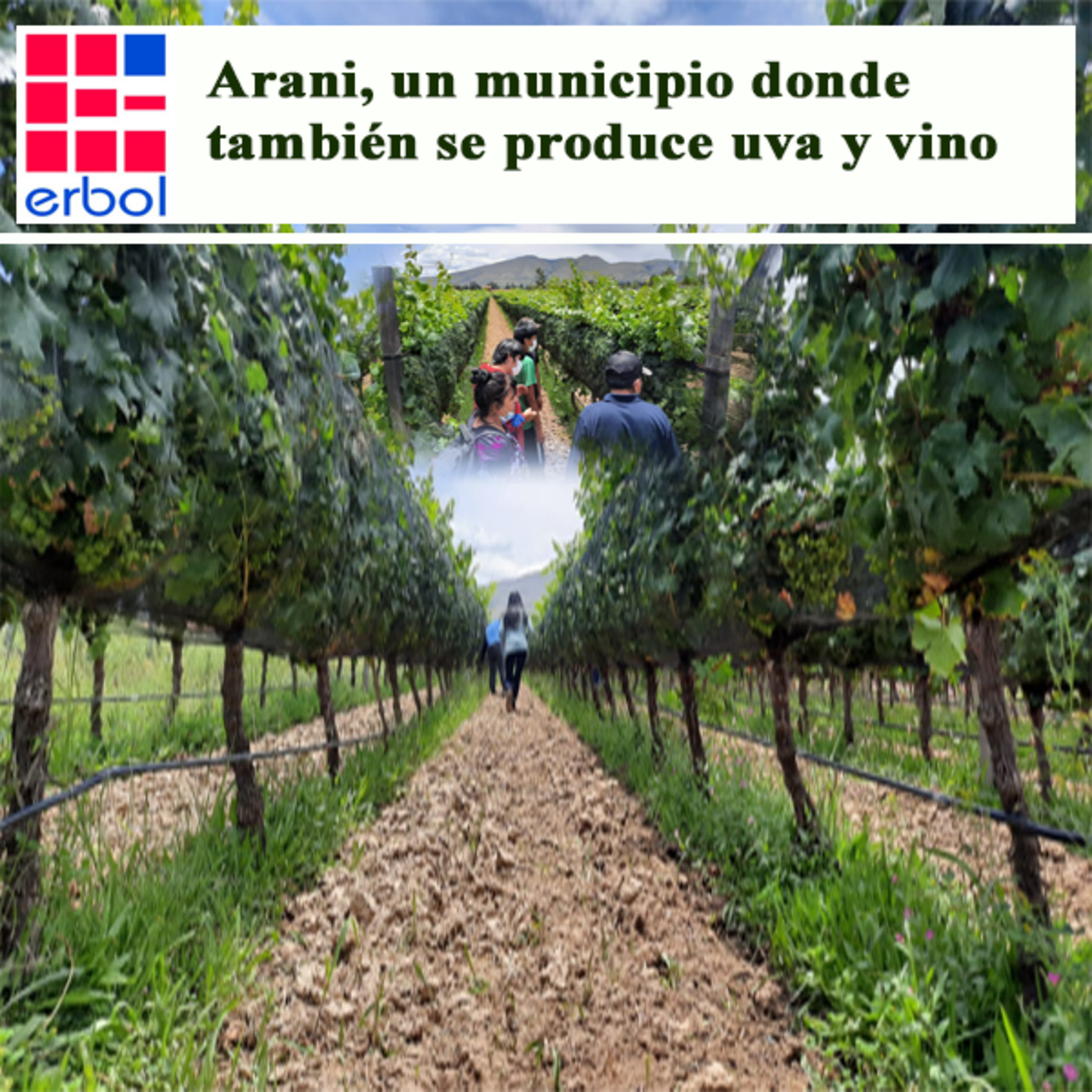 Arani, un municipio donde también se produce uva y vino episode artwork