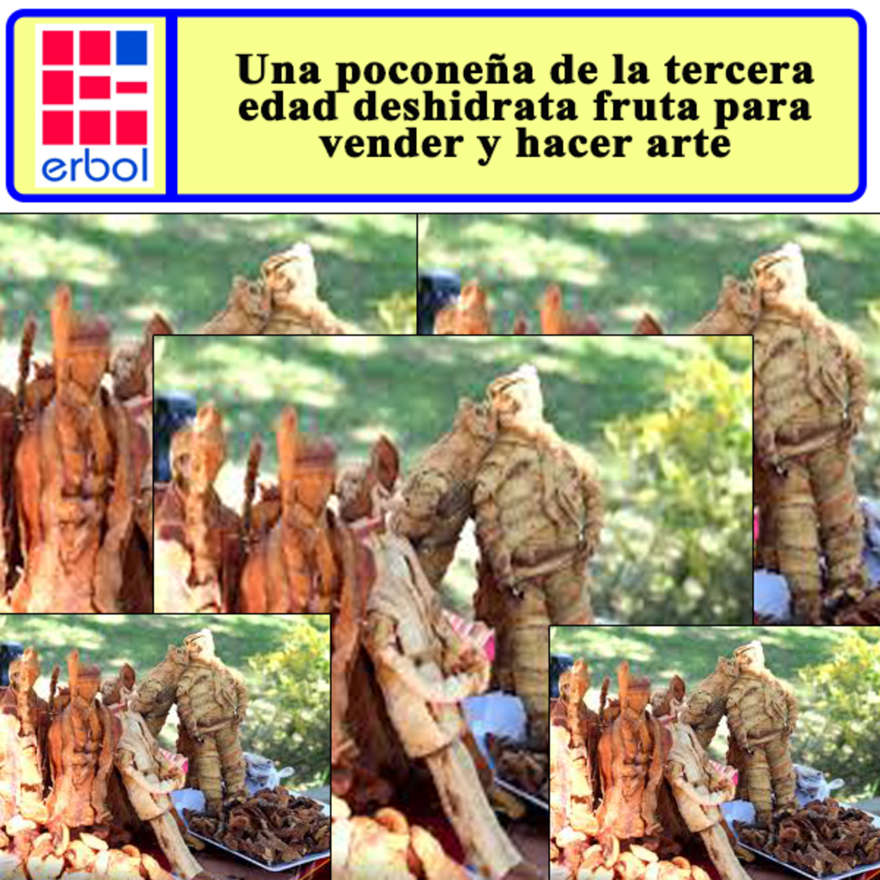 Una poconeña de la tercera edad deshidrata fruta para vender y hacer arte episode artwork