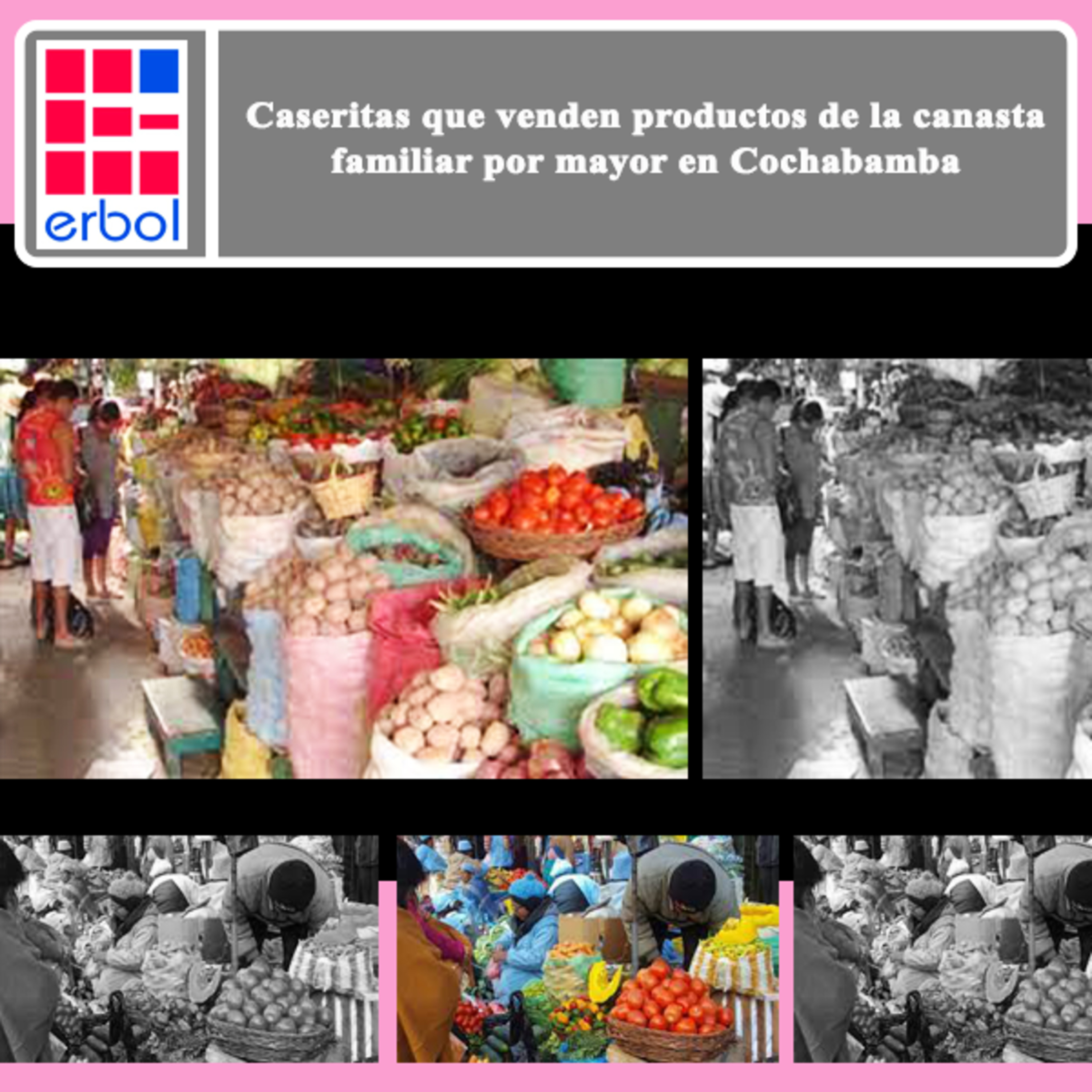 Erbol - Fuente Ciudadana