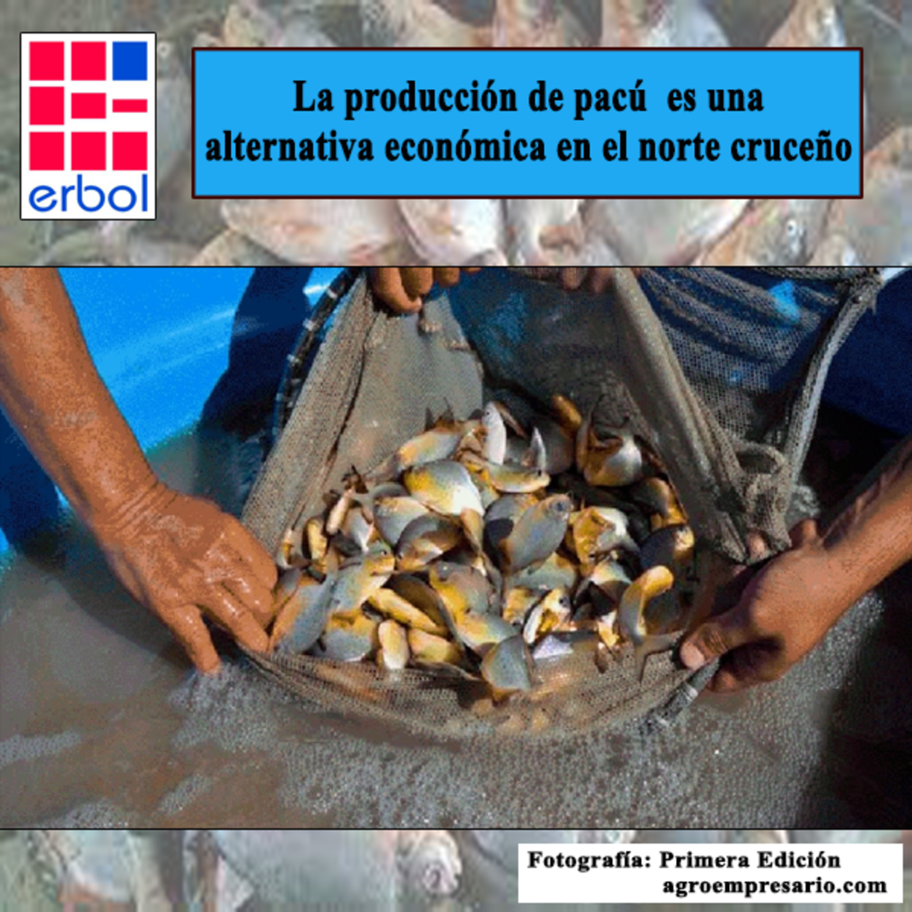 Erbol - Fuente Ciudadana