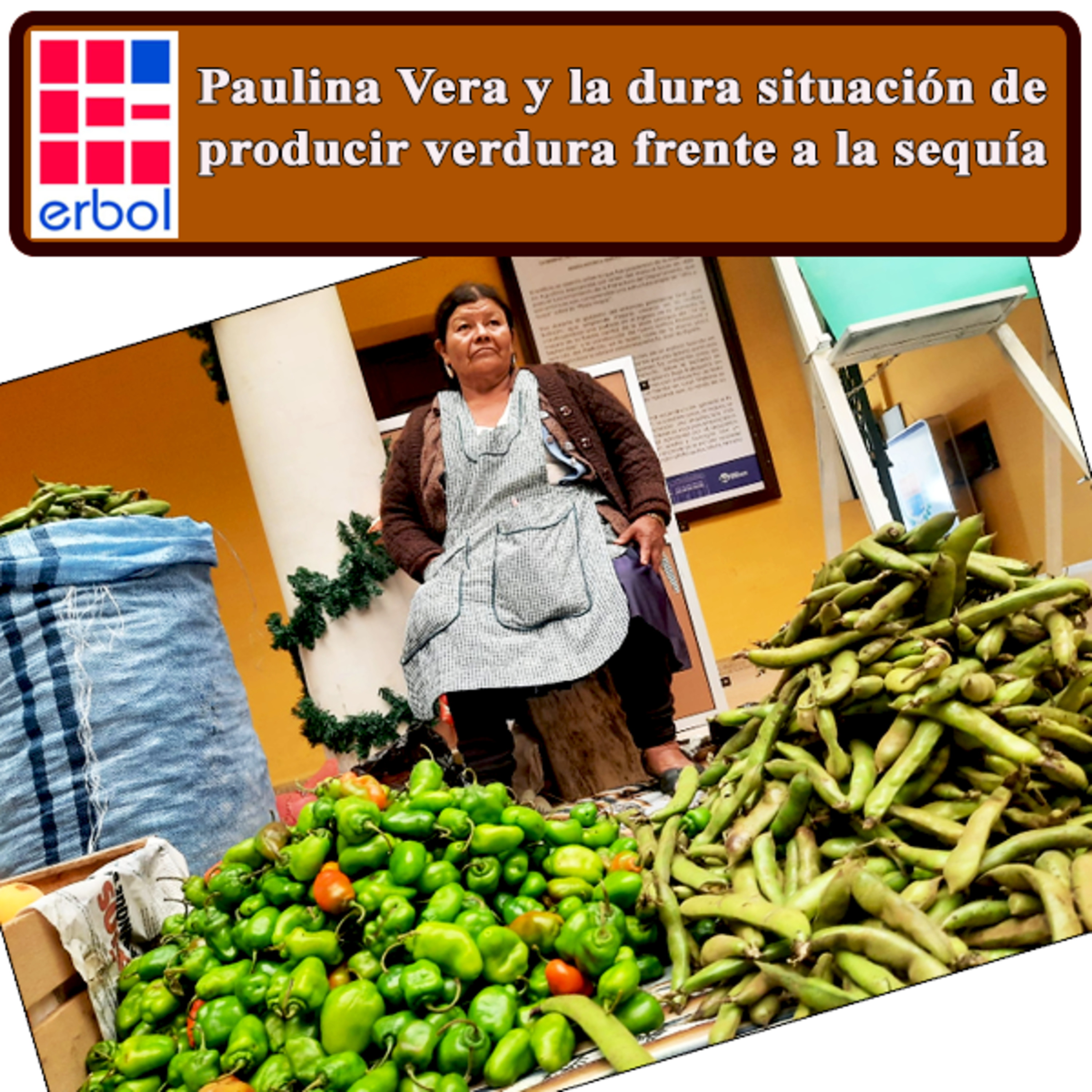 Paulina Vera y la dura situación de producir verdura frente a la sequía  episode artwork