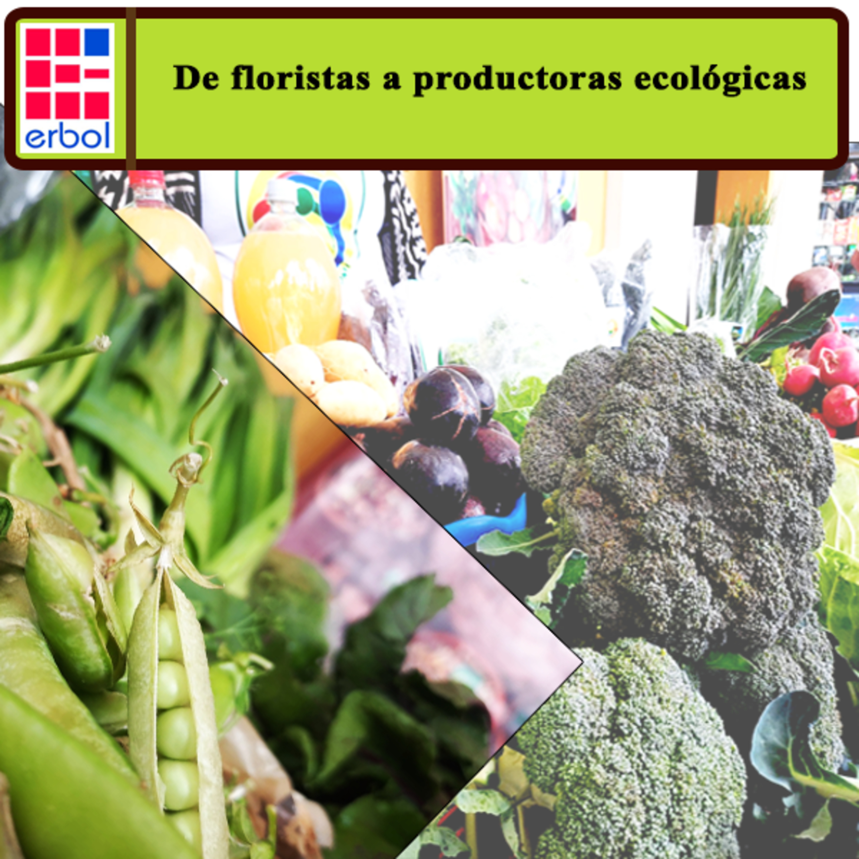 Erbol - Fuente Ciudadana