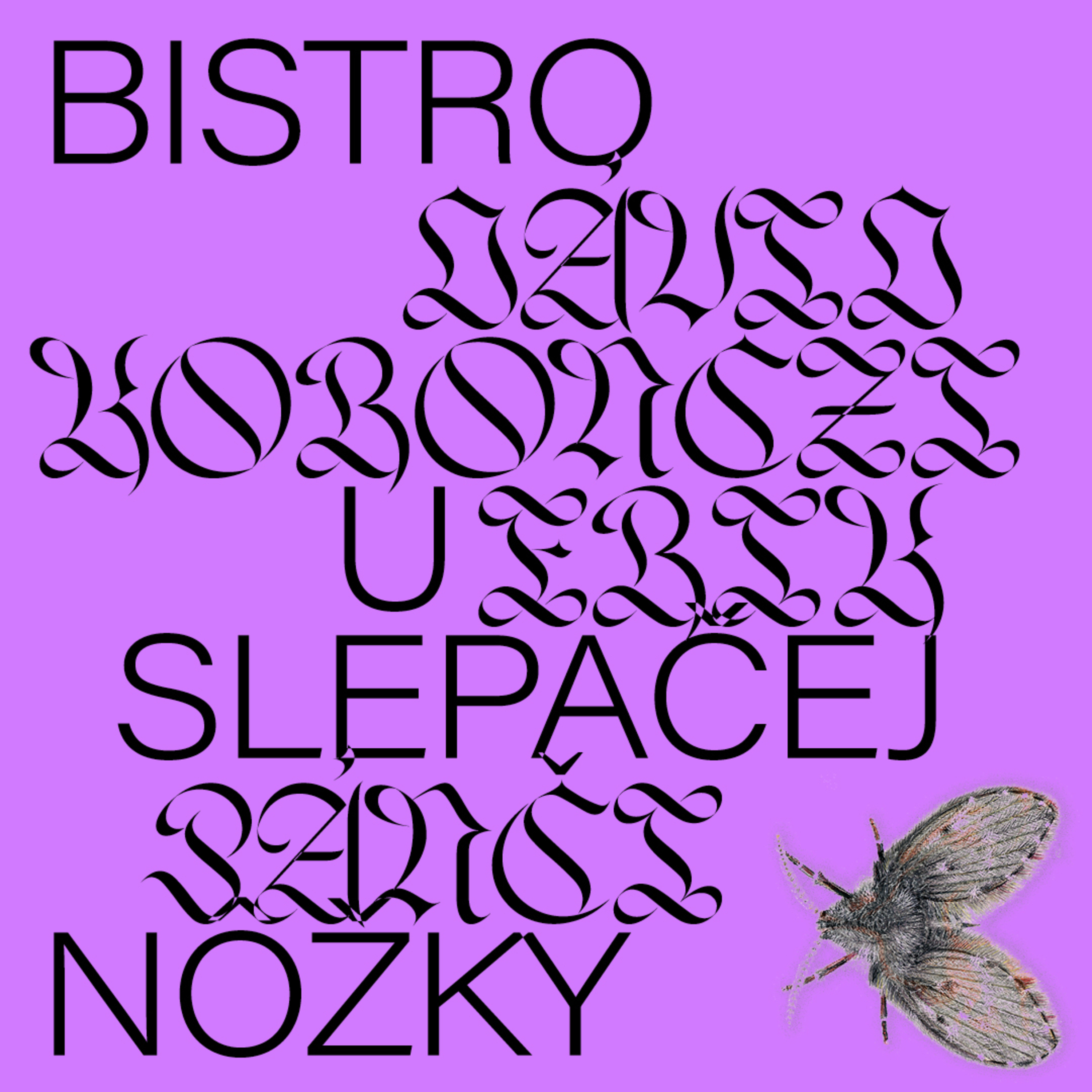 DAAVS // Dávid Koronczi: Bistro u slepačej nôžky episode artwork