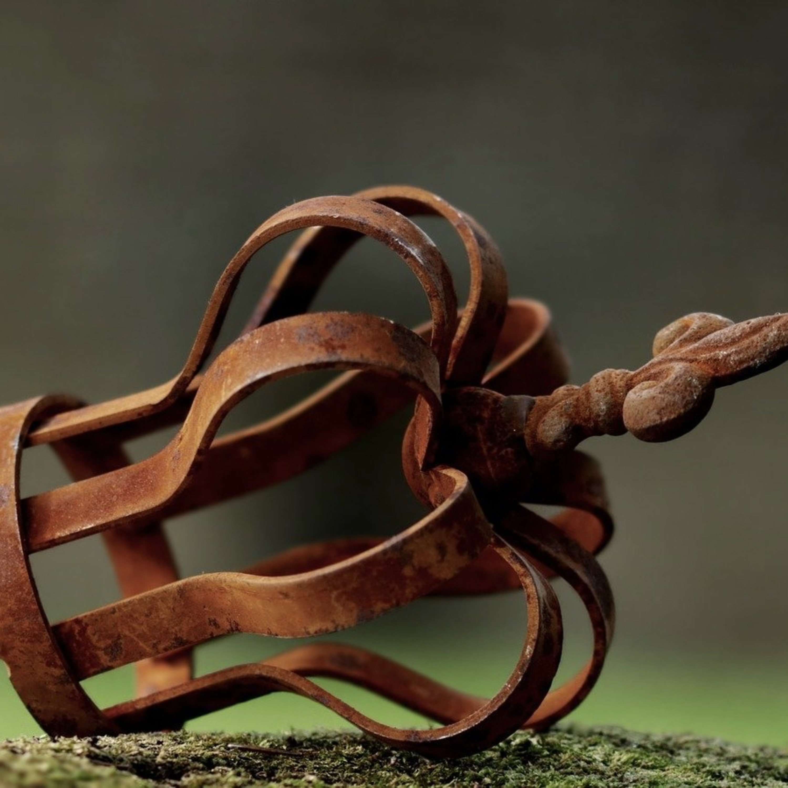 Koningin Corona Ontkroond