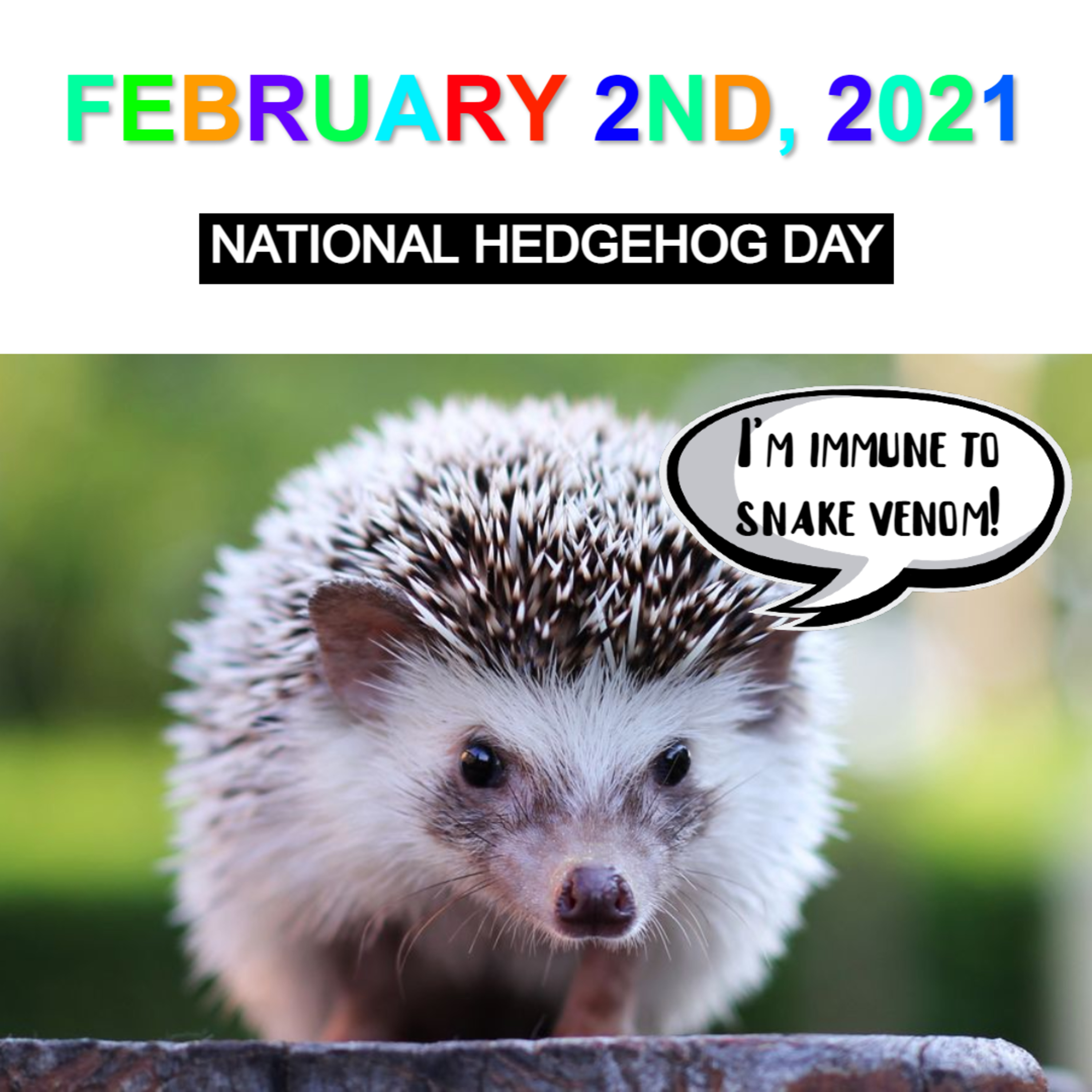 Every Day\'s A Holiday