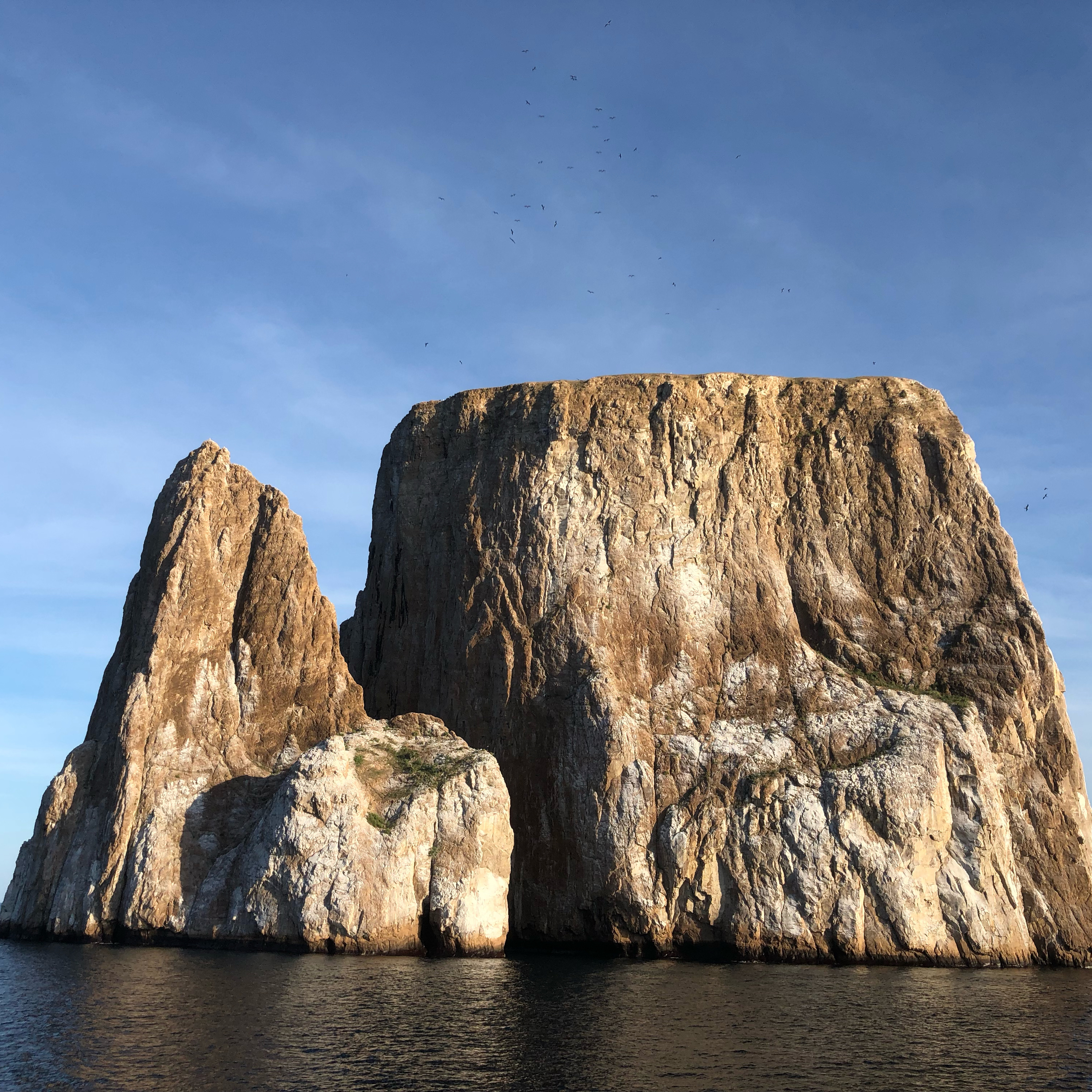 The Galapagos with Kevin Dooley.