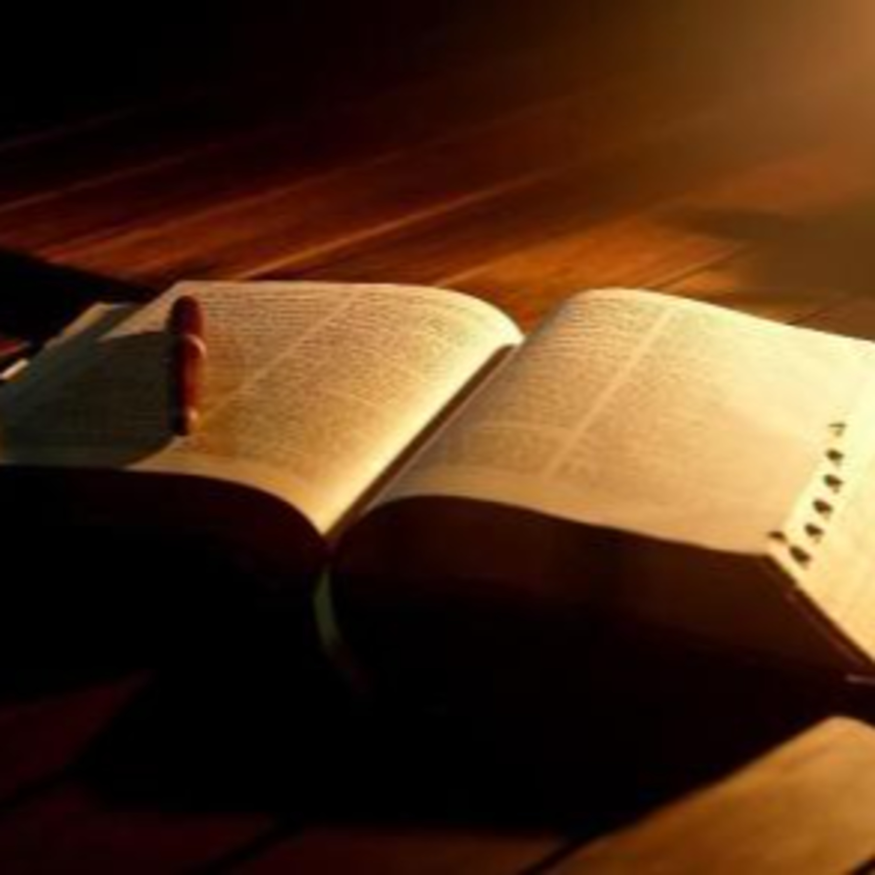 Homilías y Conferencias