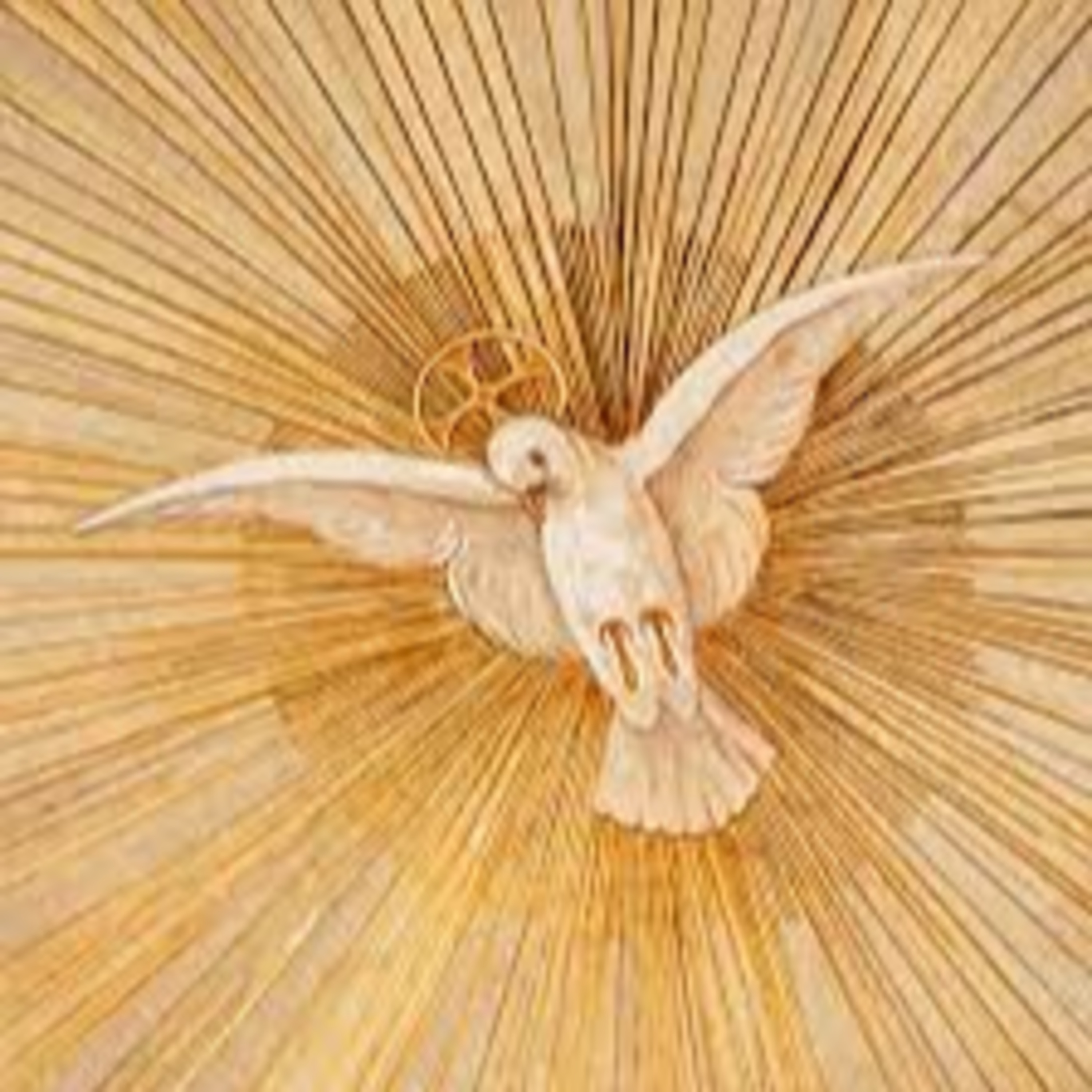 Homilías y Conferencias