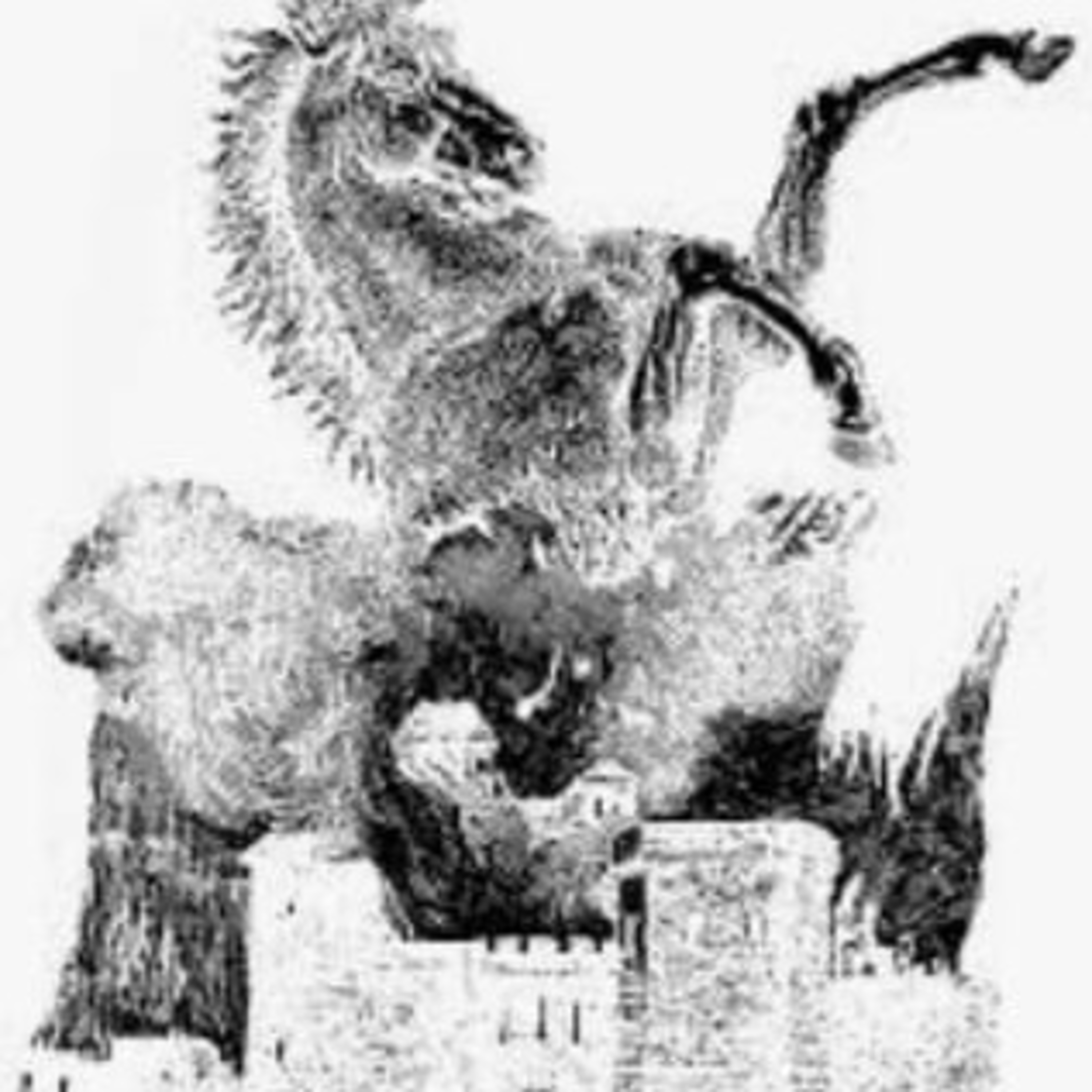 "METZENGERSTEIN" Poe Para Principiantes Capítulo 25