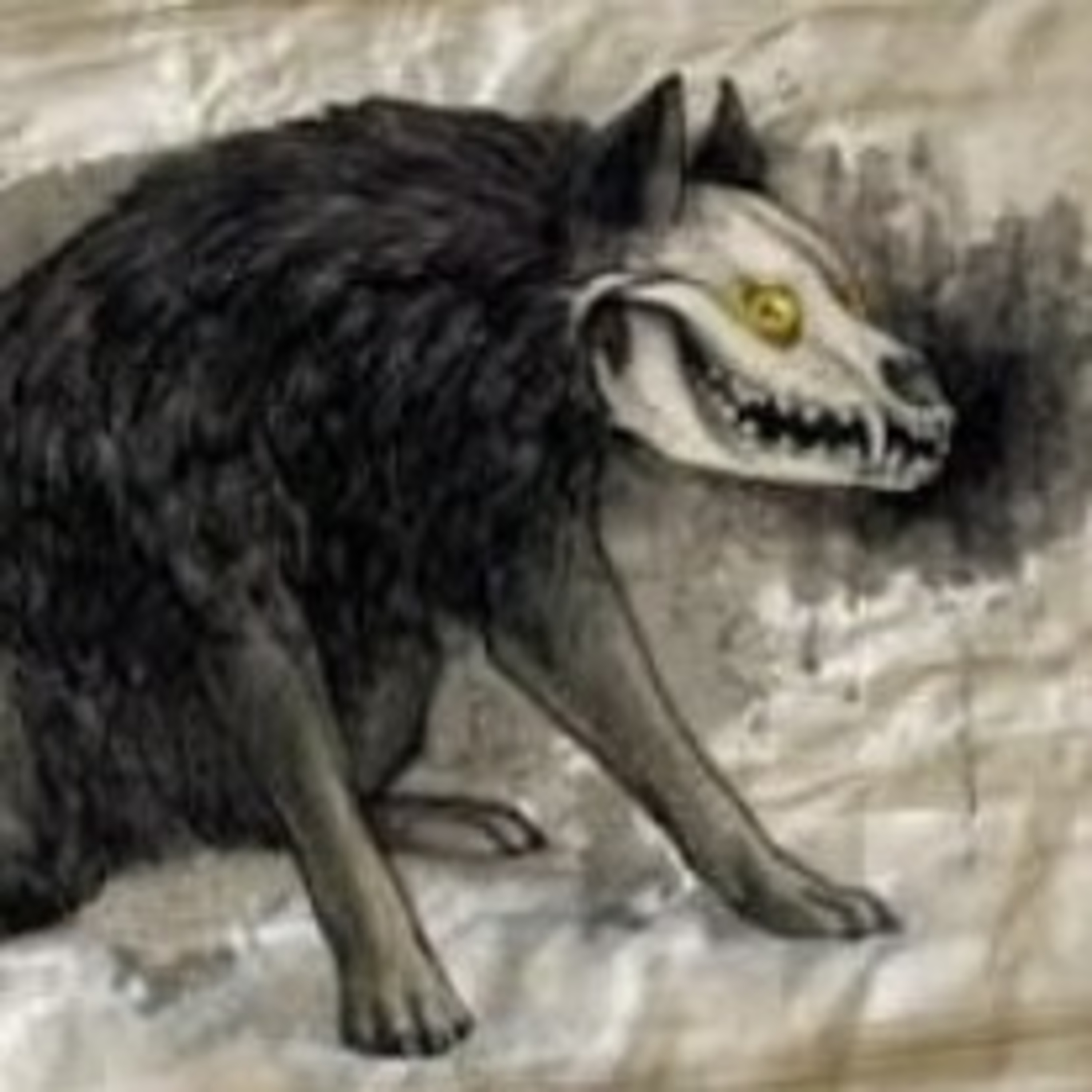 "EL ORIGEN DEL NAHUAL" Leyendas de Espantos y Aparecidos Capítulo 11 episode artwork