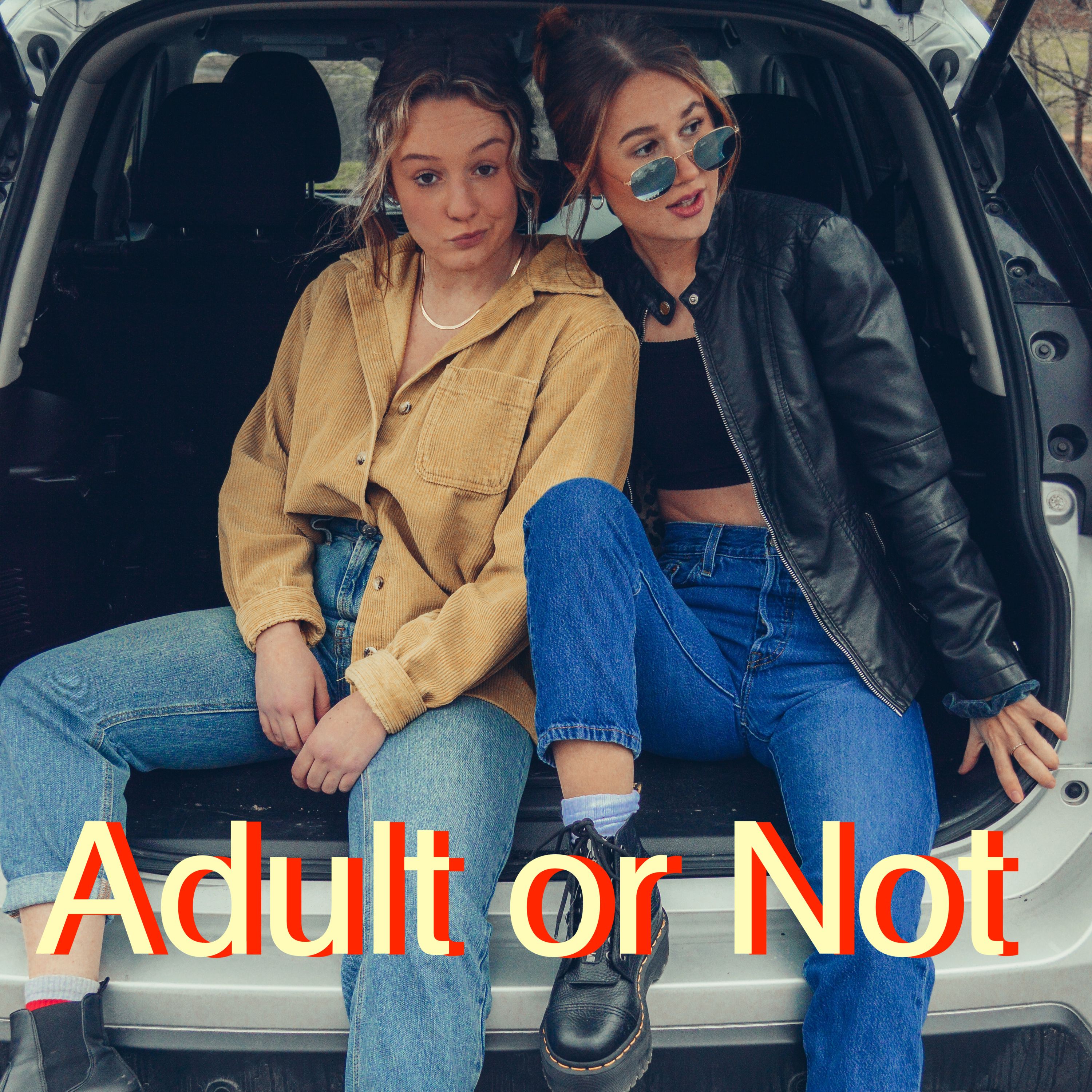 Adult or Not