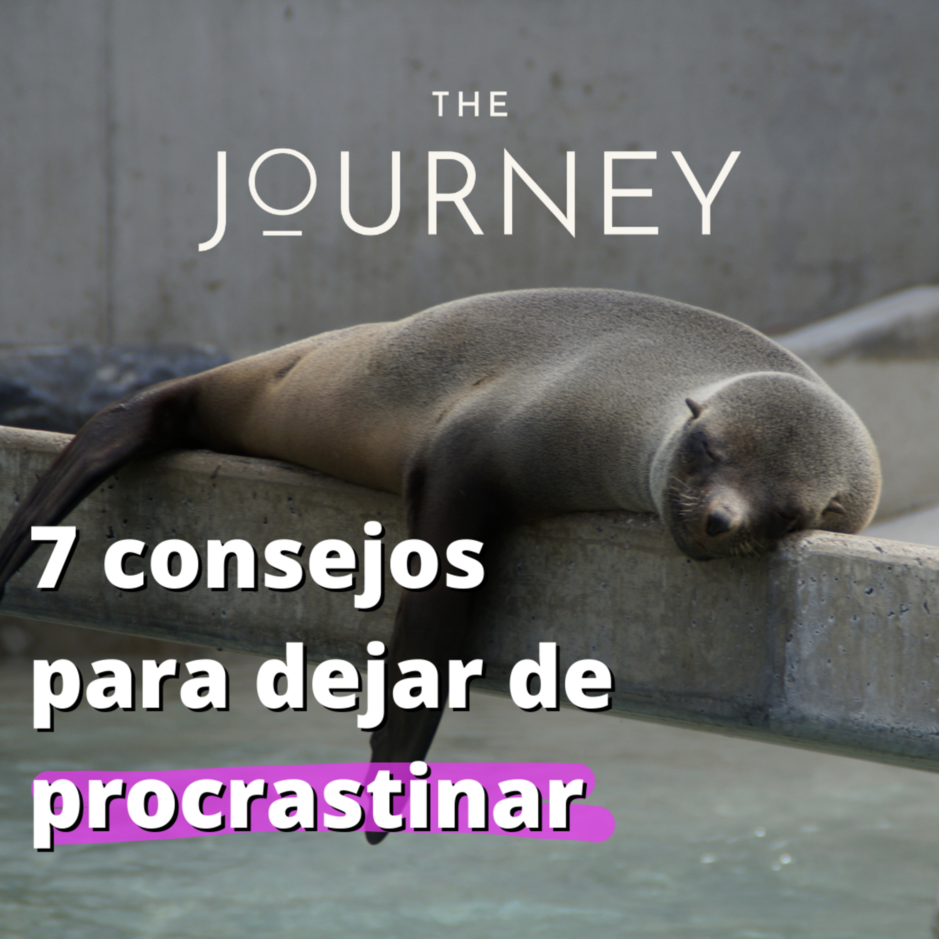 THE JOURNEY - EL VIAJE DEL ÉXITO