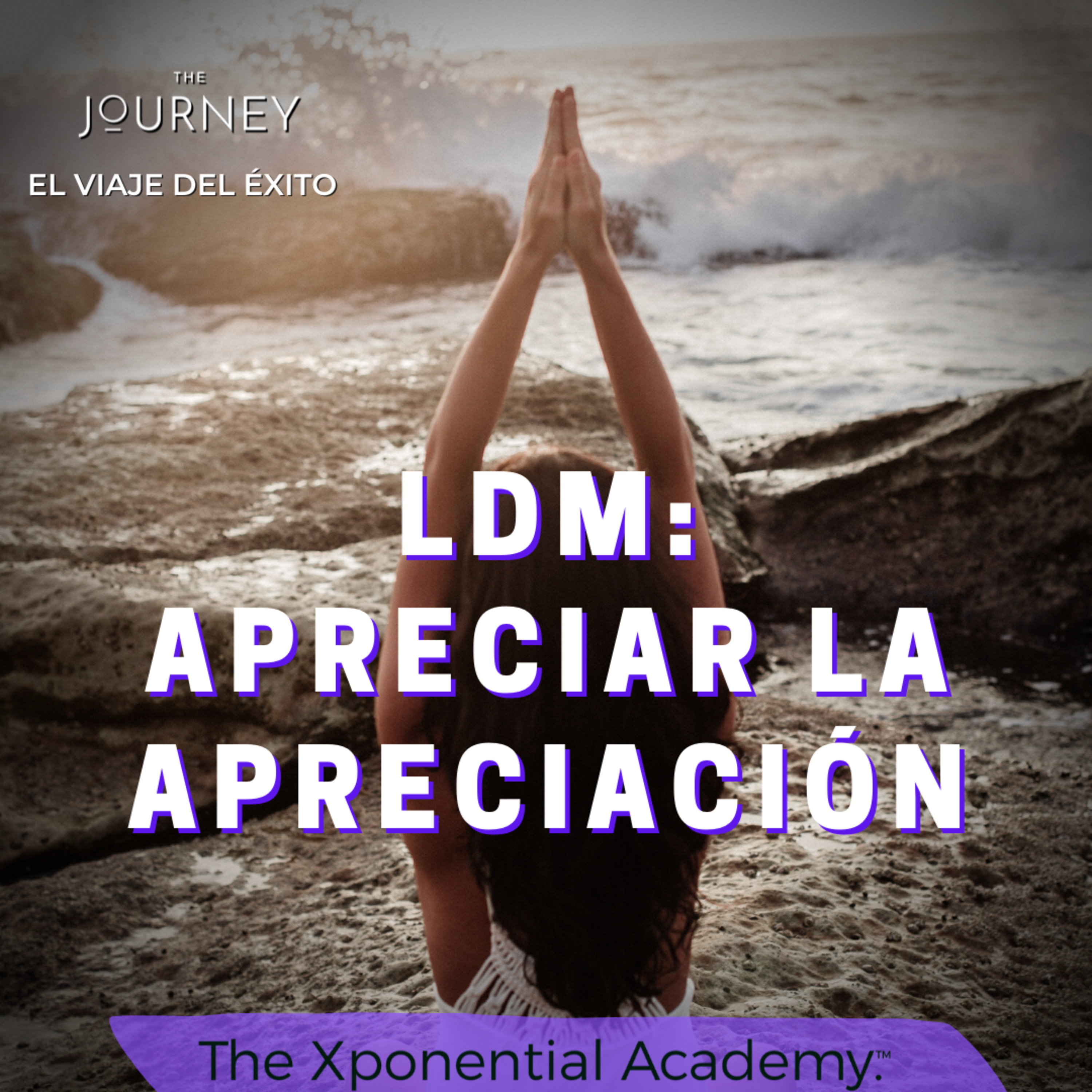 THE JOURNEY - EL VIAJE DEL ÉXITO