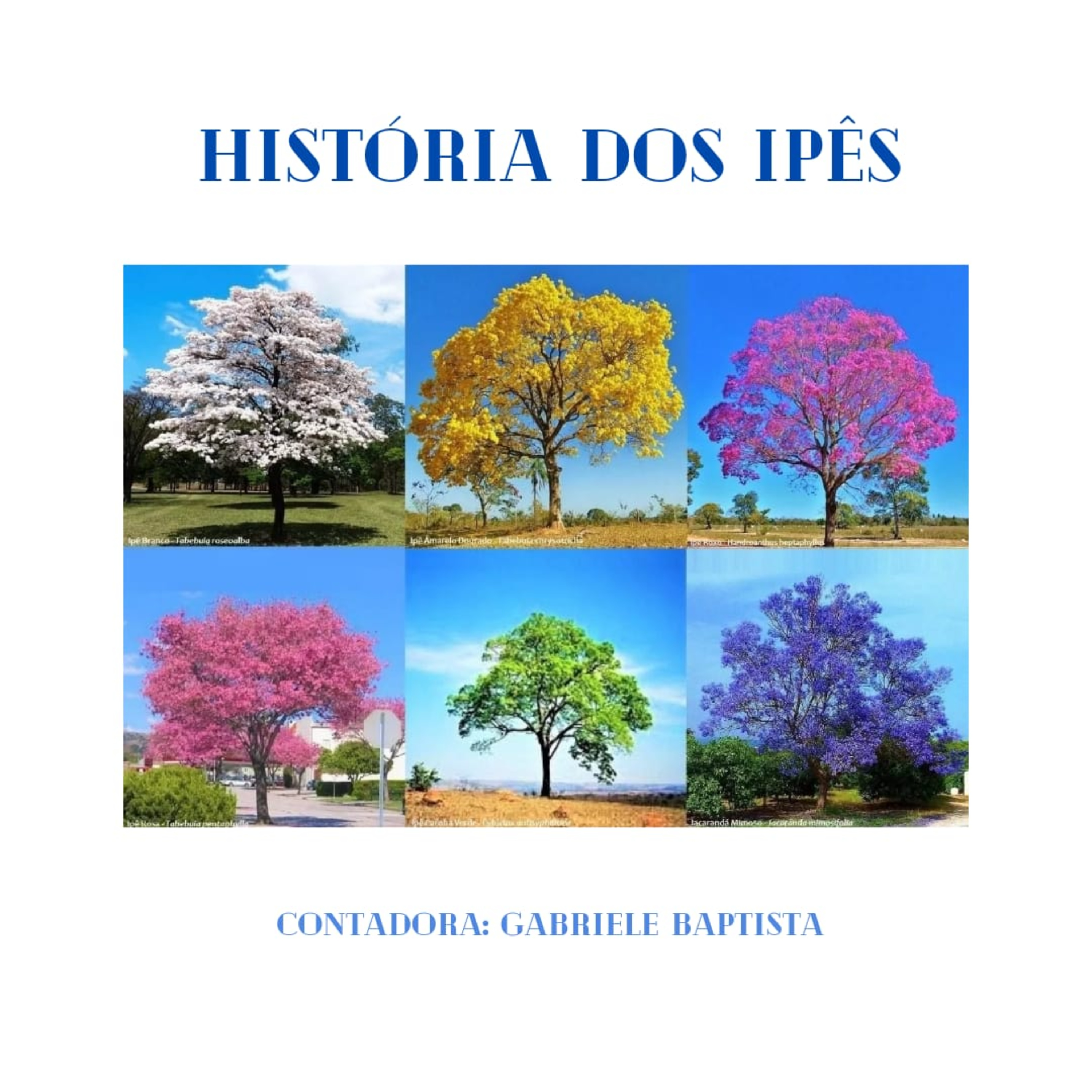 Brinquedoteca de Histórias da UNILAB