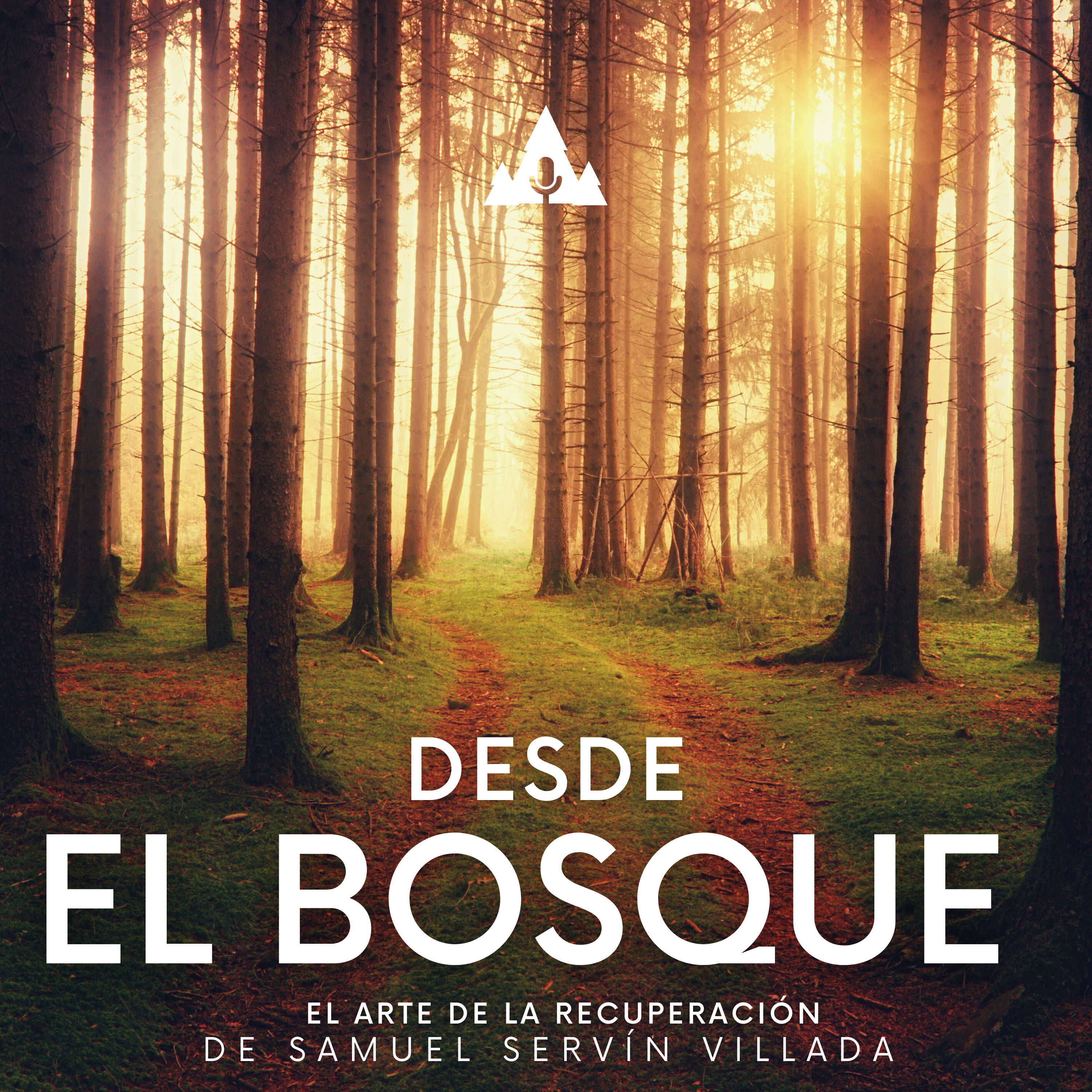Desde El Bosque