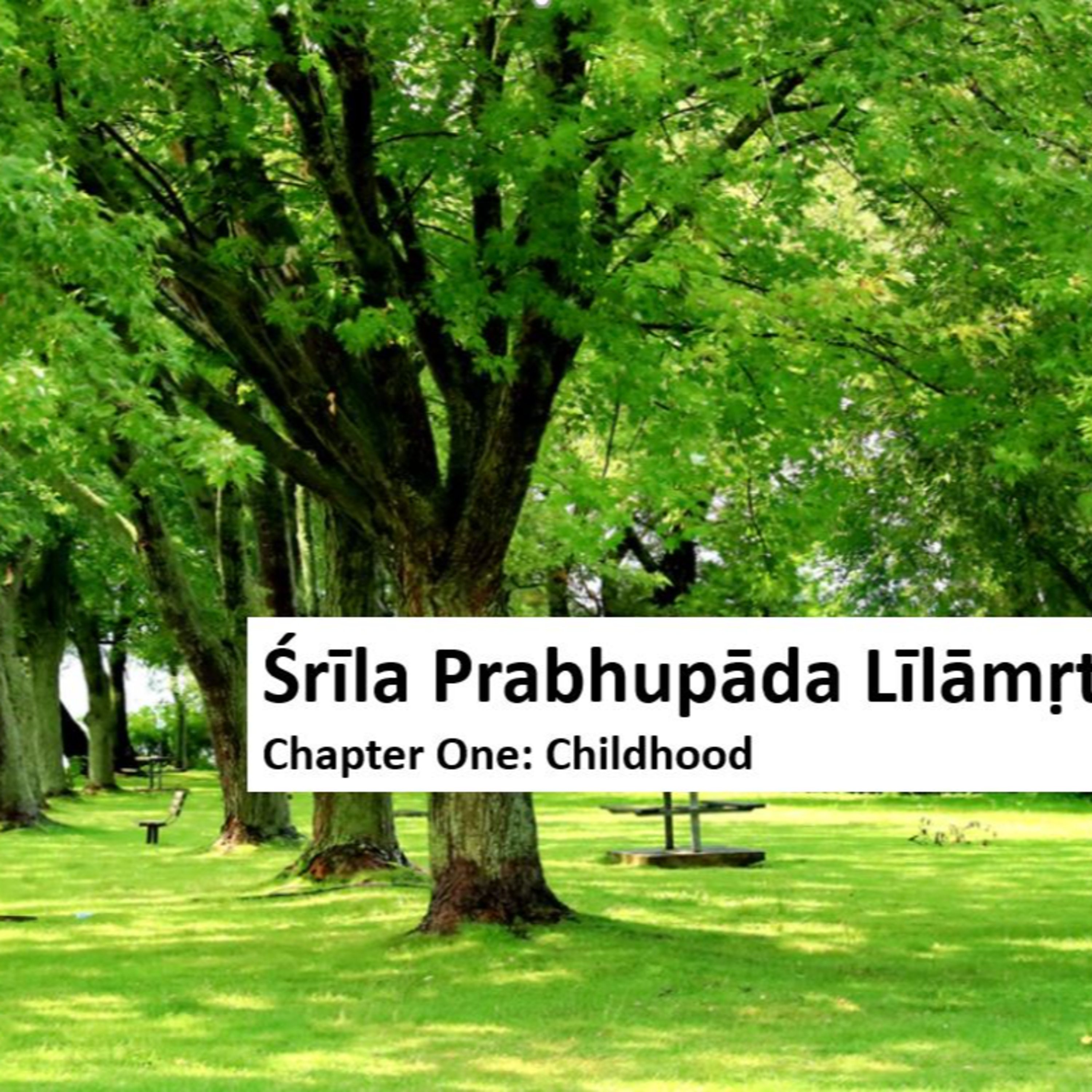 Srila Prabhupada Online Book Reading Lab Gurugram