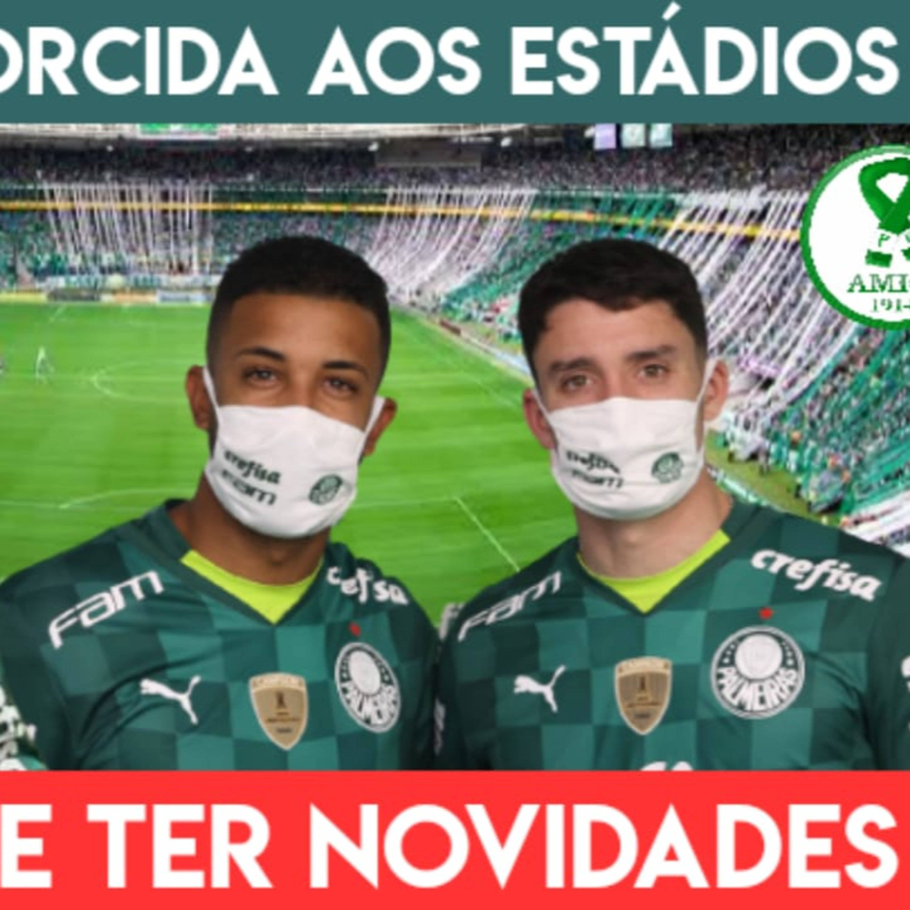 LIVE 🚨 ABEL TERÁ "REFORÇOS" PARA O BRASILEIRÃO | PIQUEREZ E JORGE APRESENTADOS | A VOLTA DA TORCIDA