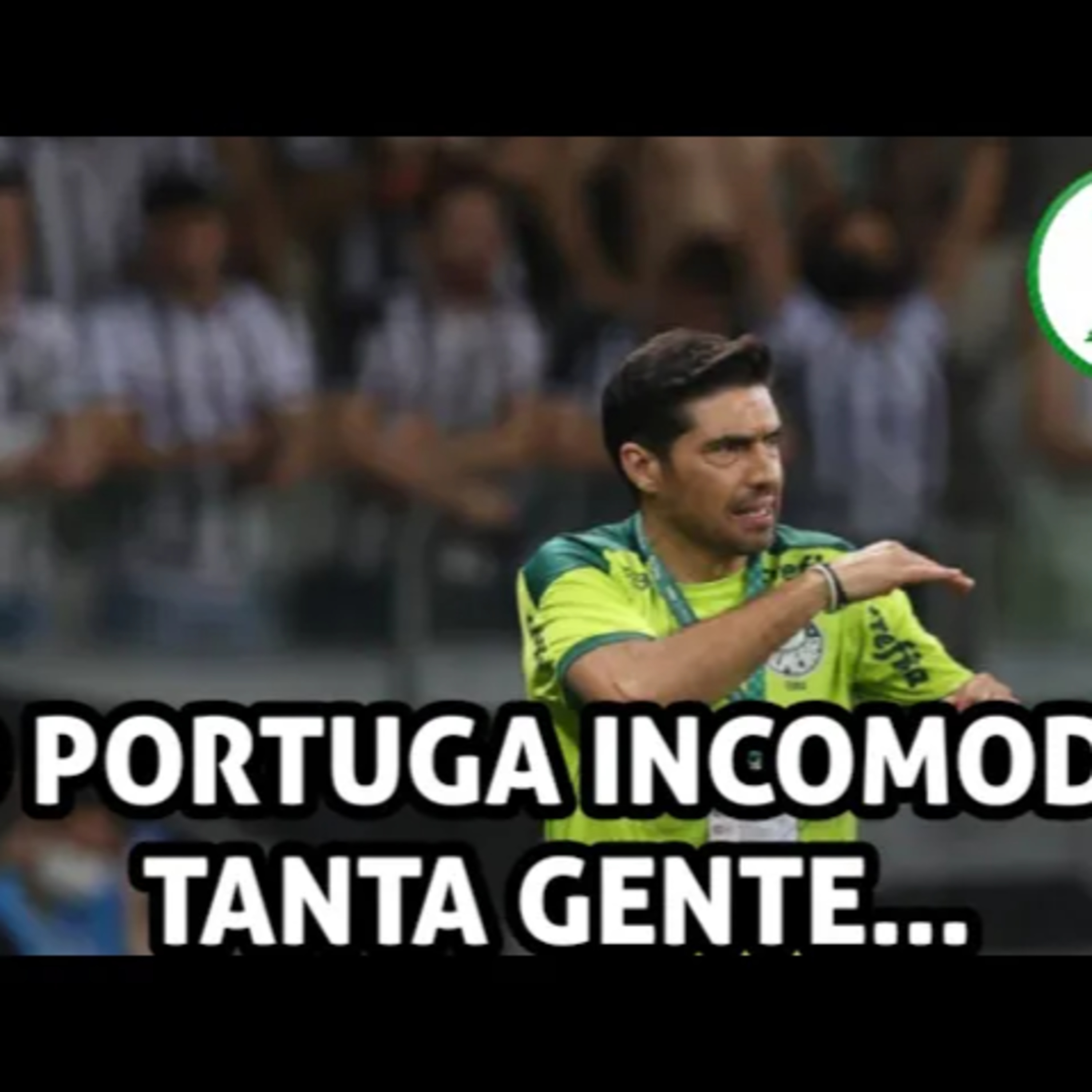 ABEL FERREIRA E O ÓDIO DA IMPRENSA