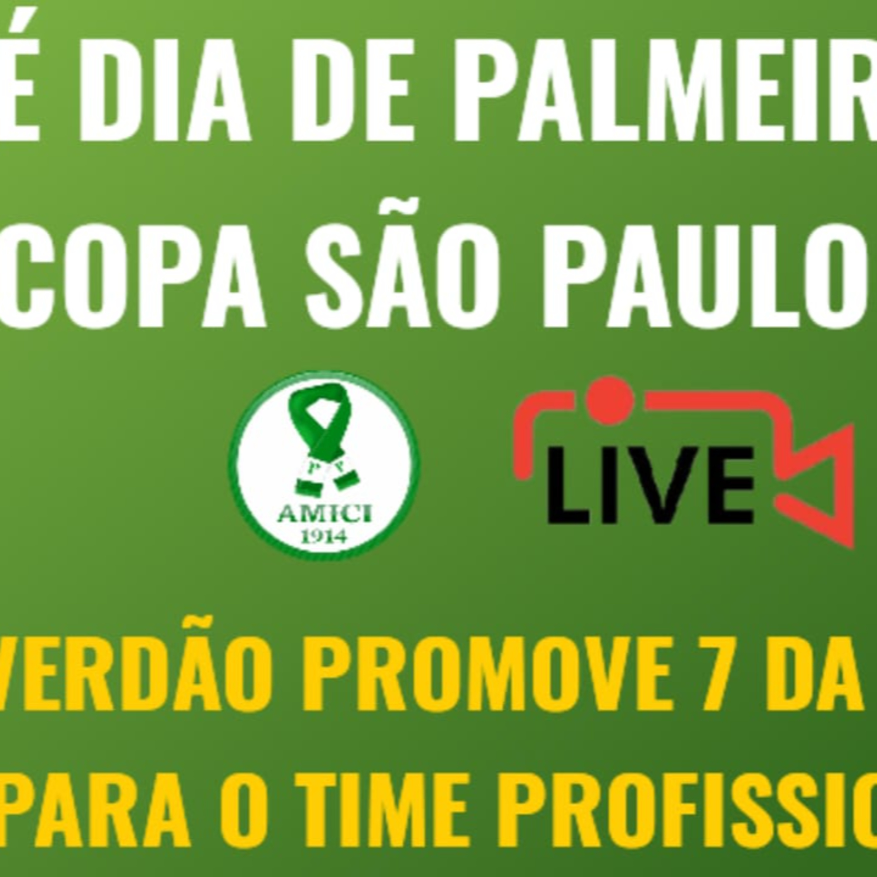 ATUAL CAMPEÃO, PALMEIRAS ESTRÉIA NA COPINHA _ VERDÃO SE REPRESENTOU PARA OS TREINOS COM 30 JOGADORES